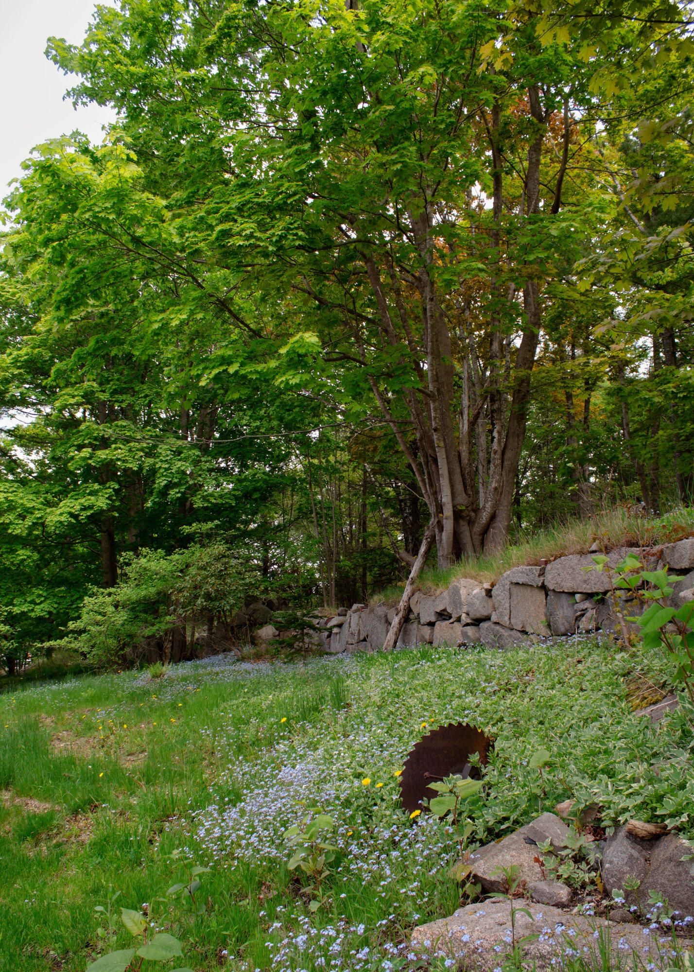 main property photo 59