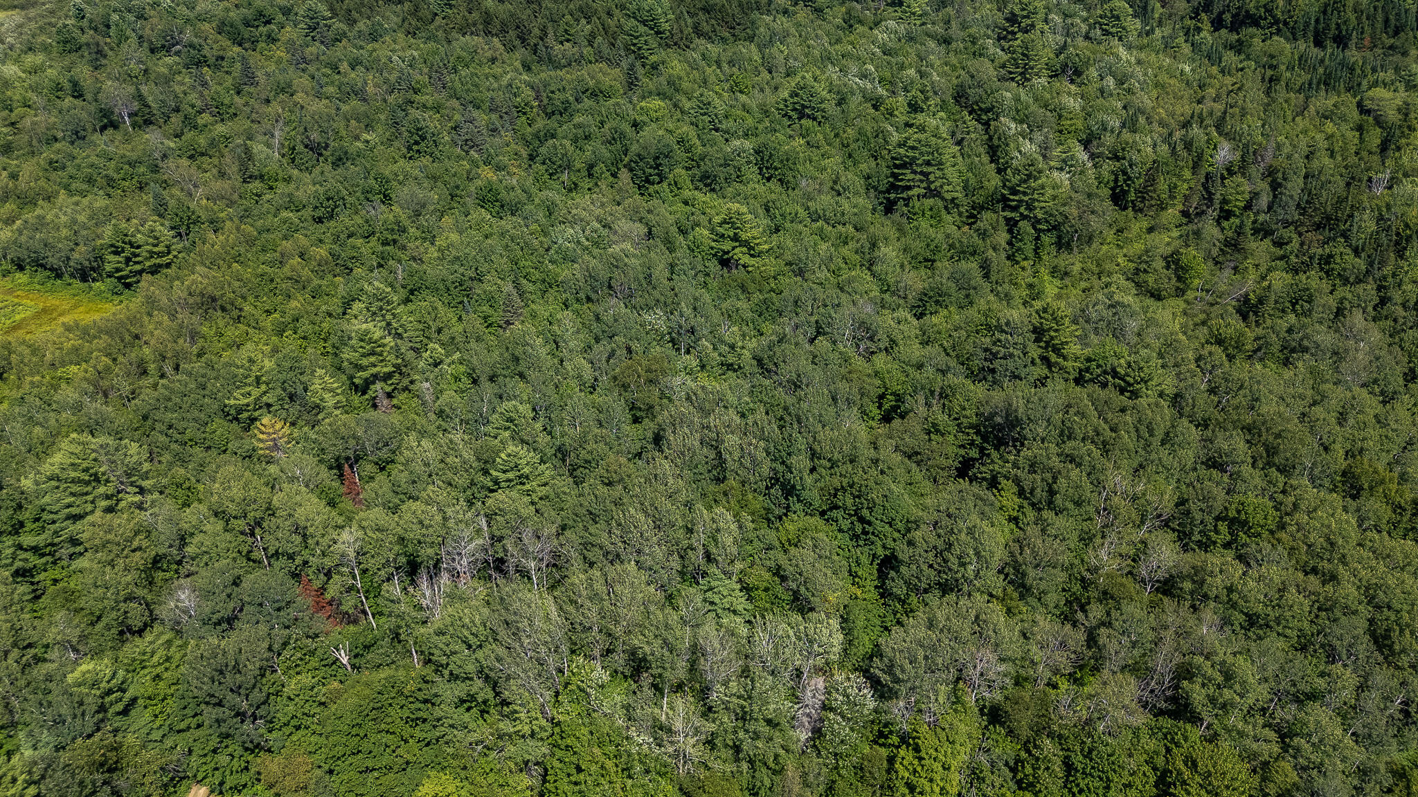 main property photo 62