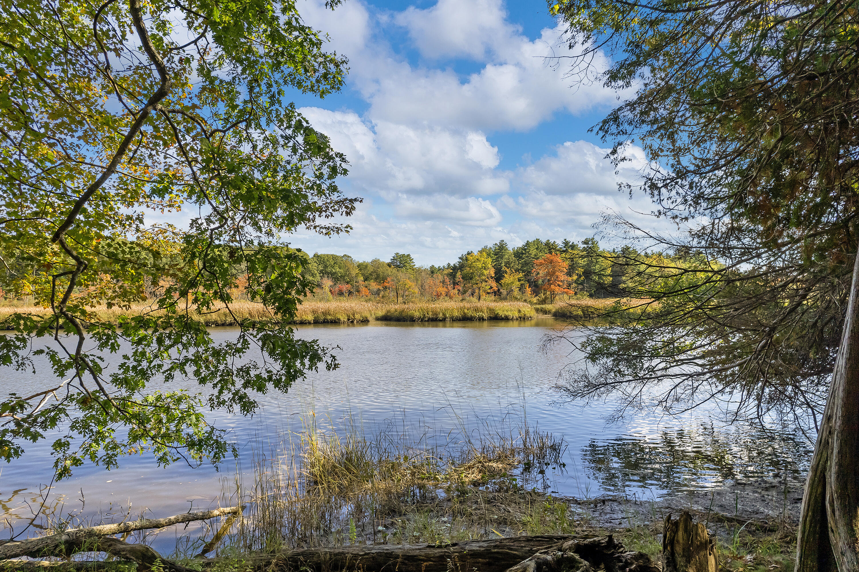 main property photo 58