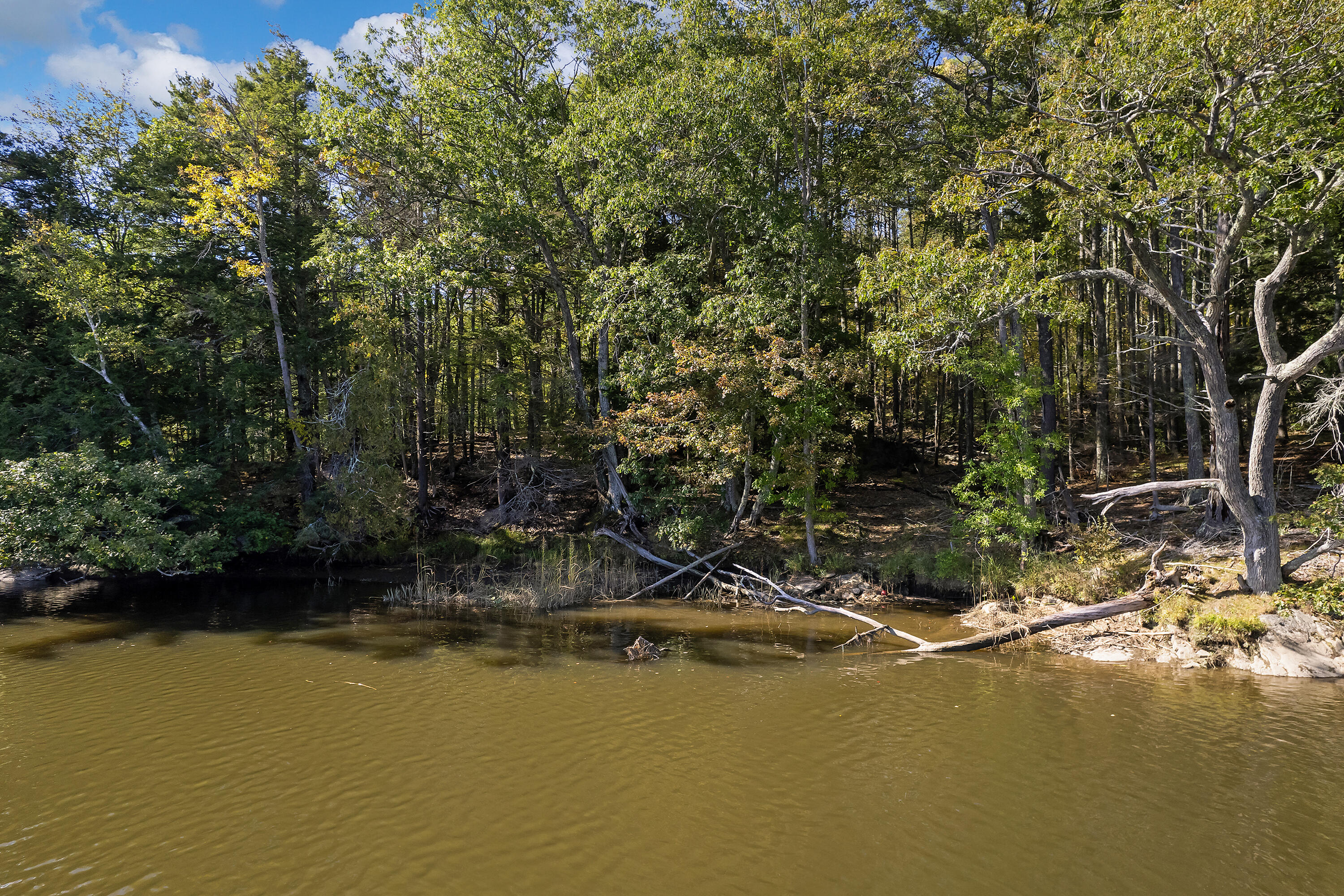 main property photo 59