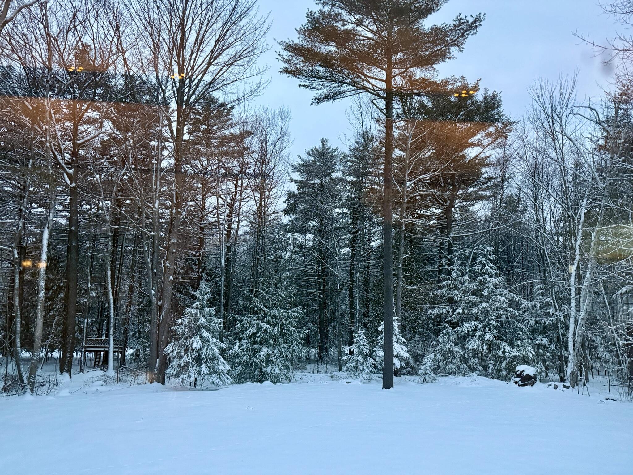 main property photo 82