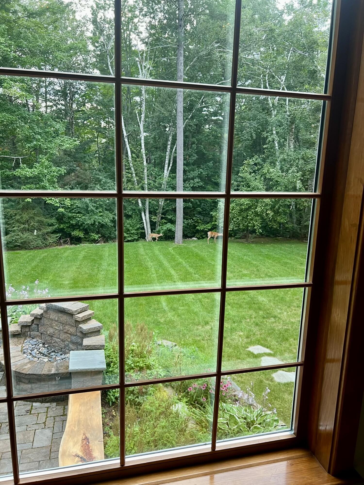 main property photo 85