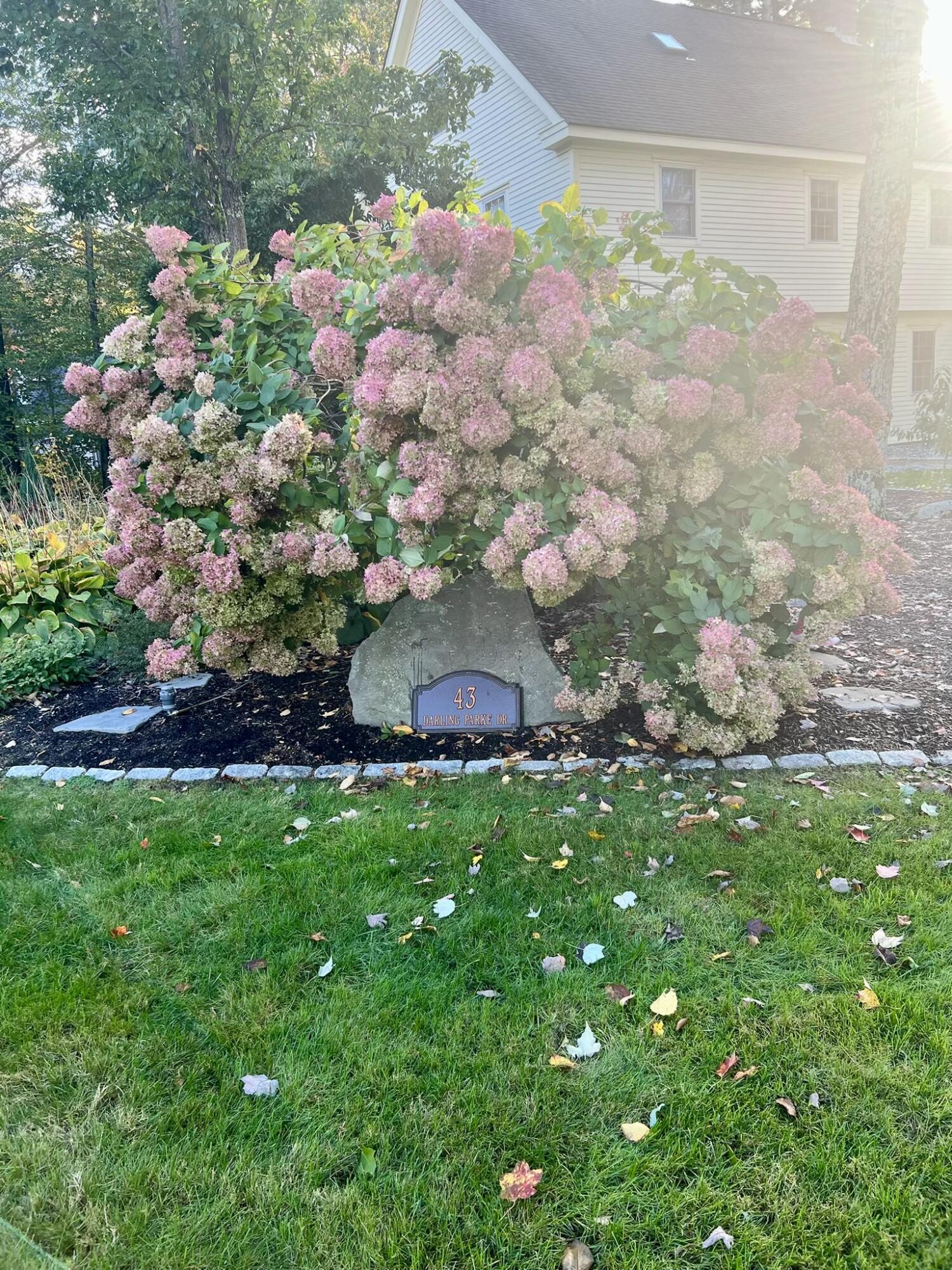 main property photo 89