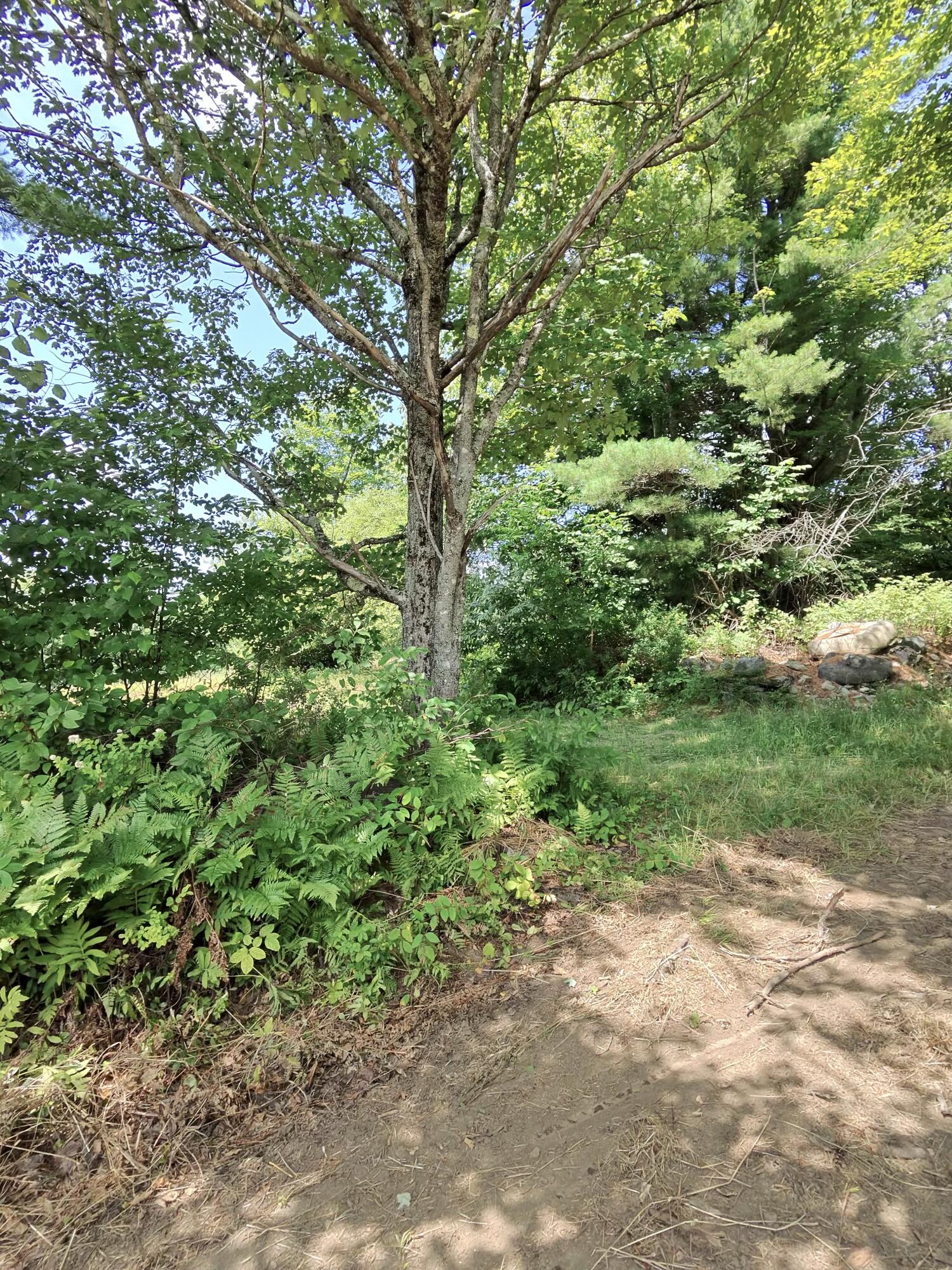 main property photo 54