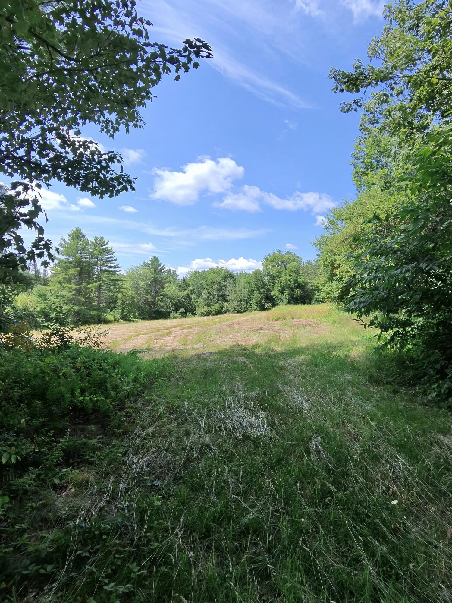 main property photo 59