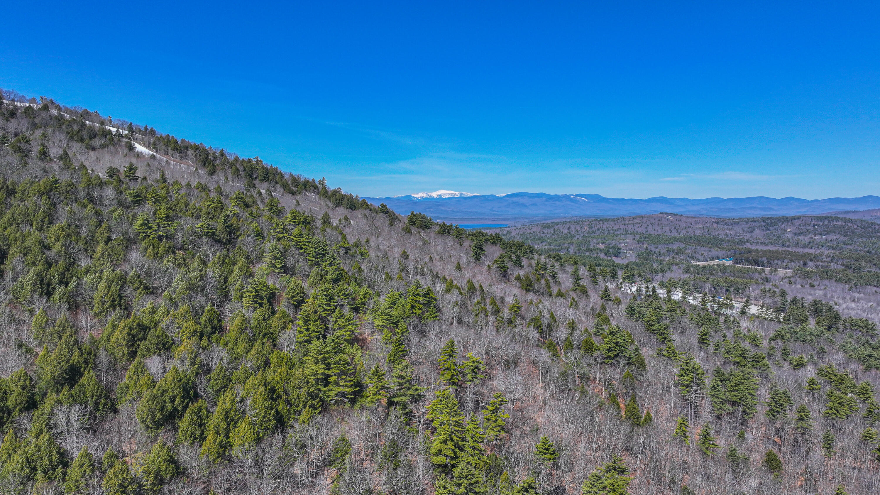 main property photo 98