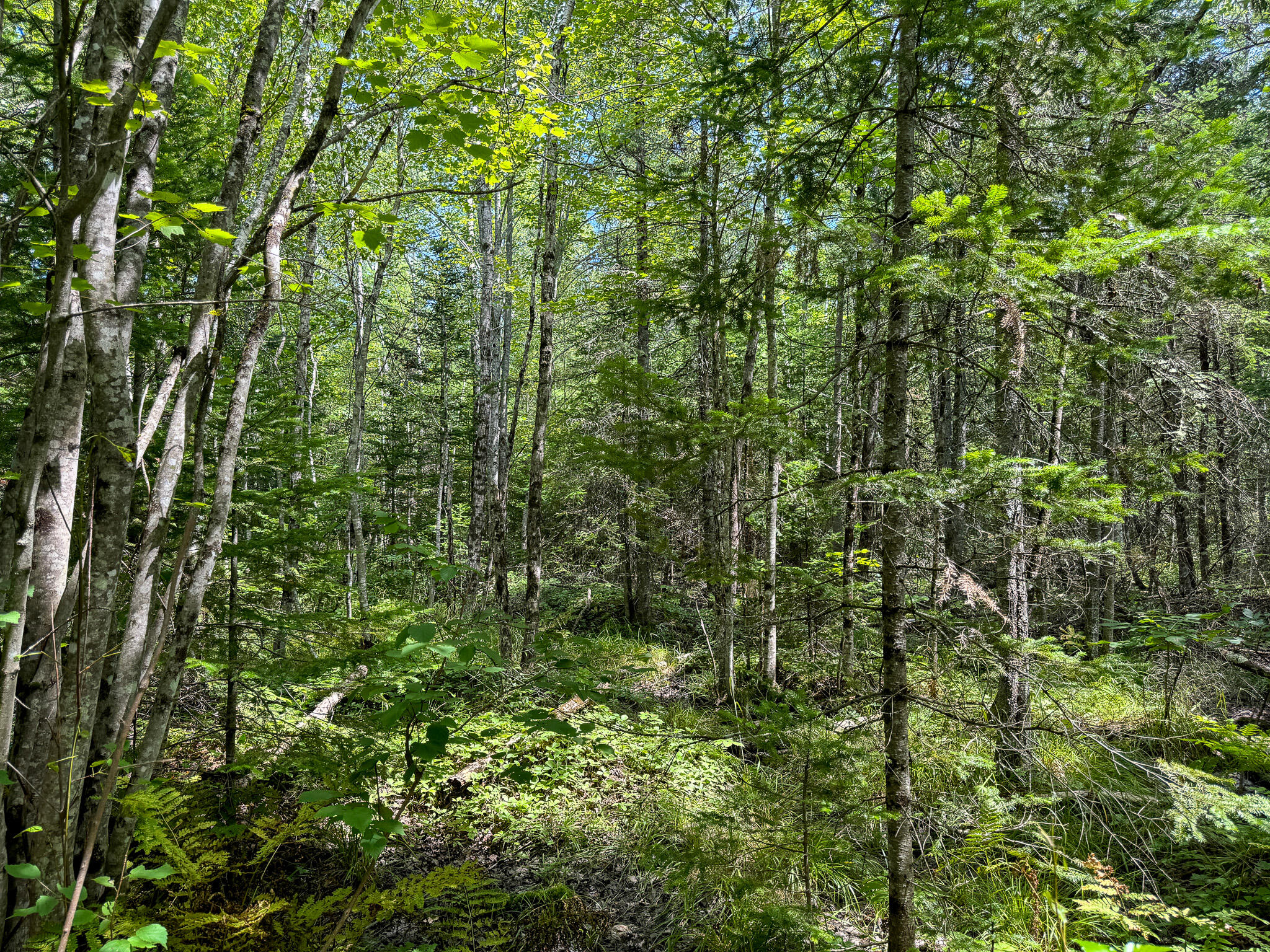 main property photo 12