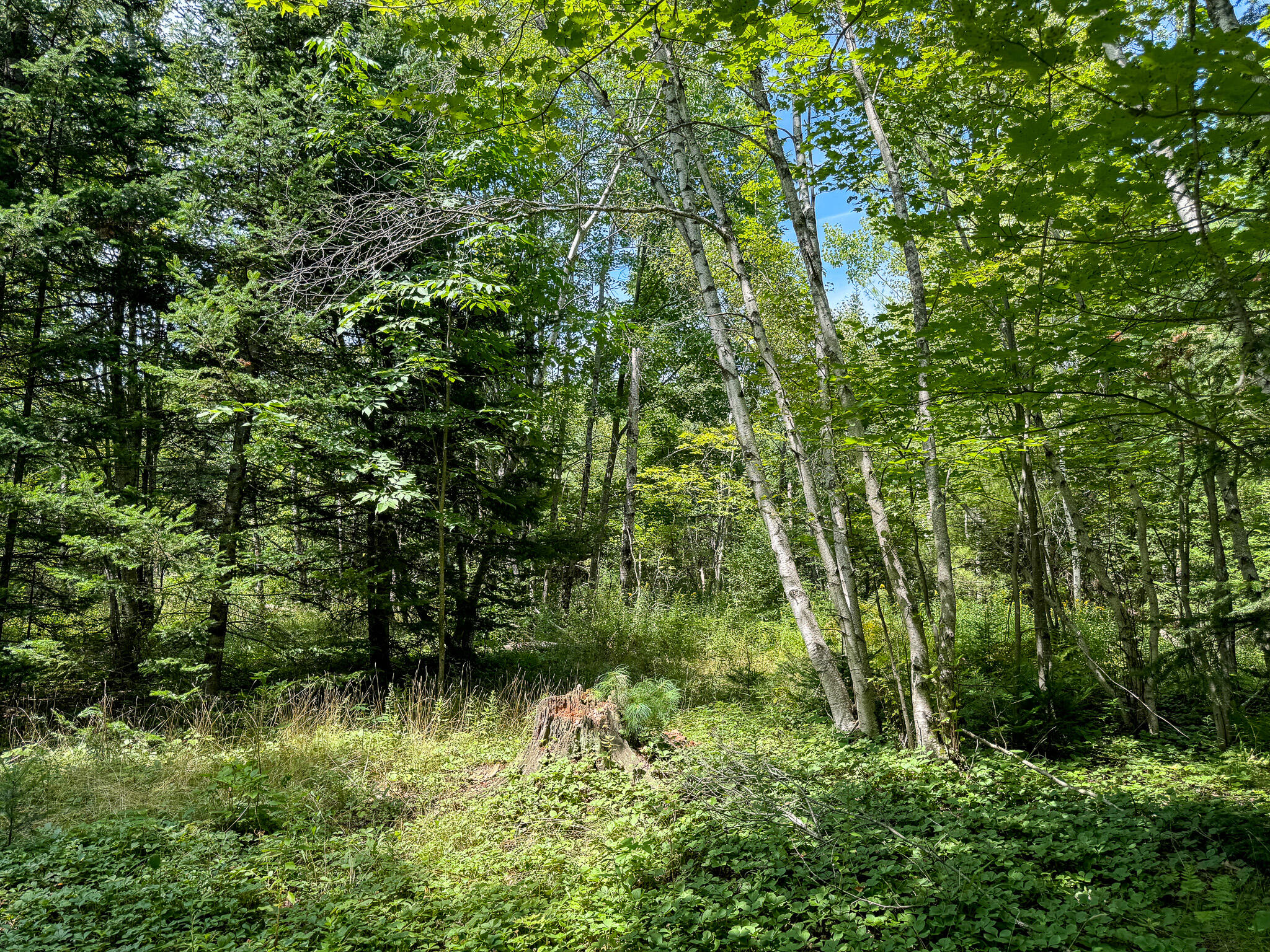 main property photo 9
