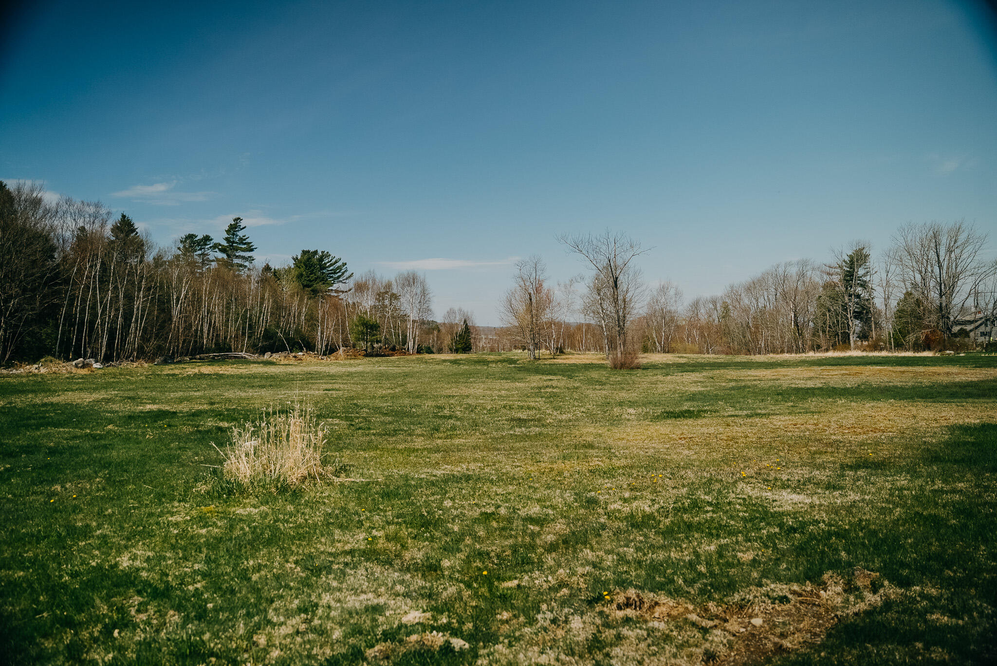 main property photo 46