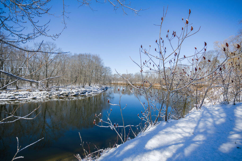 main property photo 61