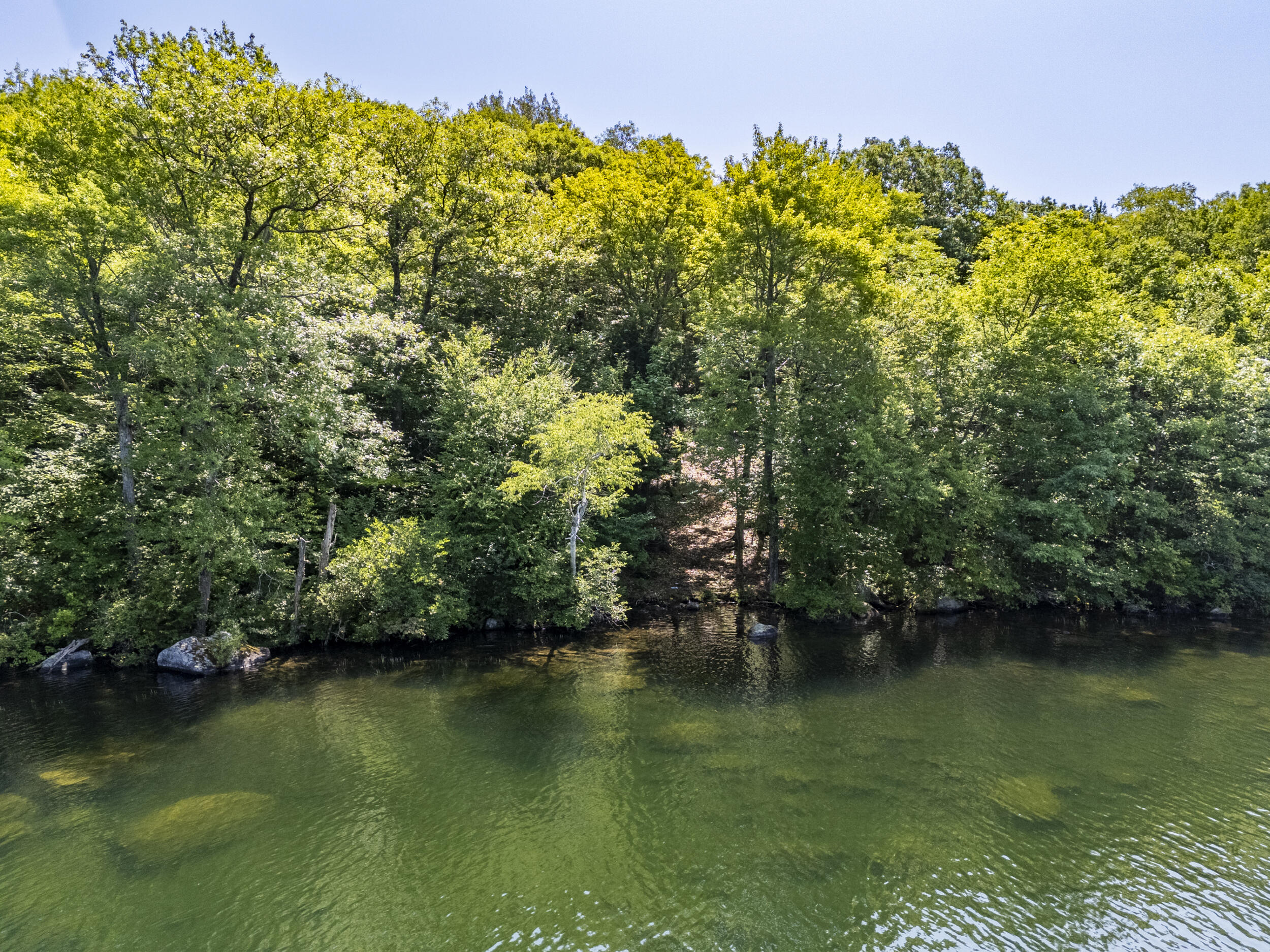 main property photo 59