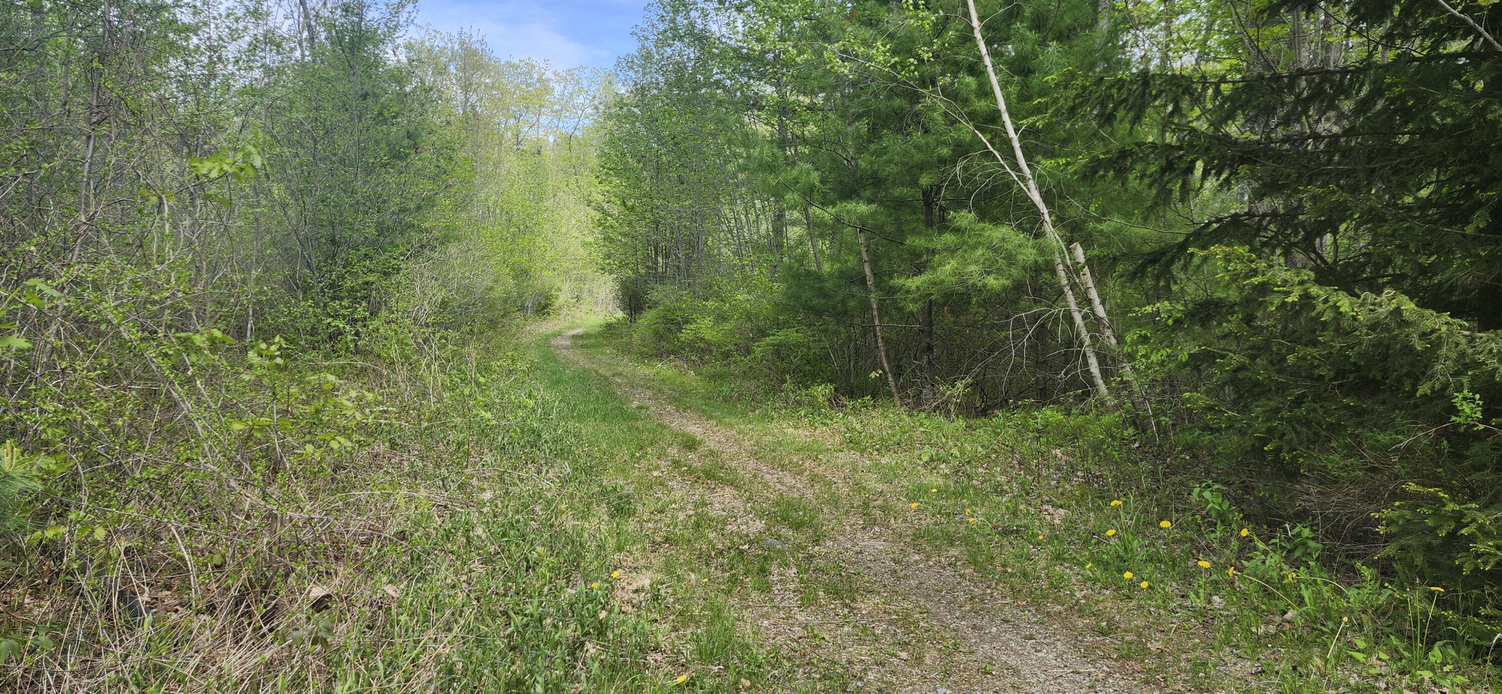 main property photo 40