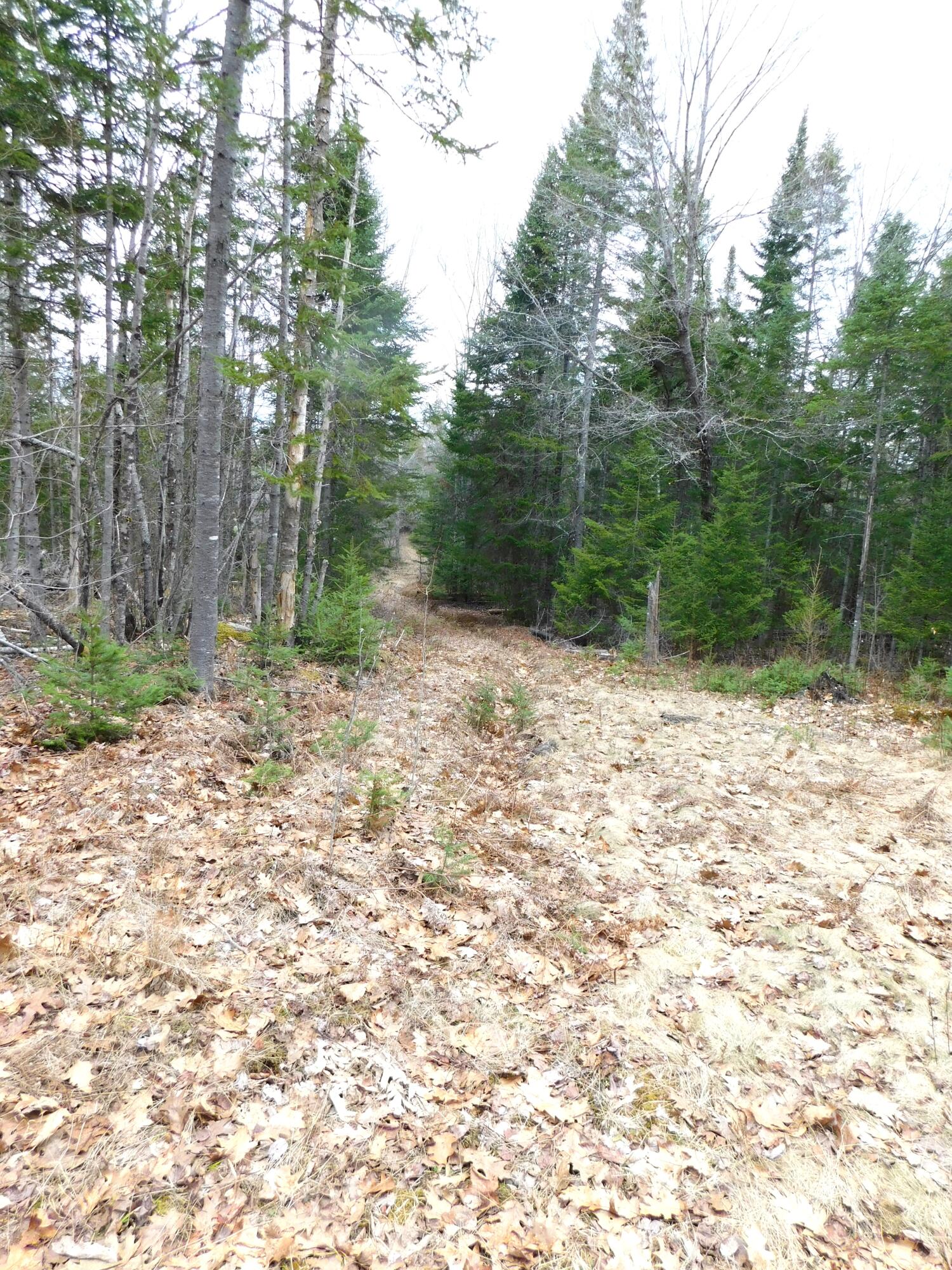 main property photo 30