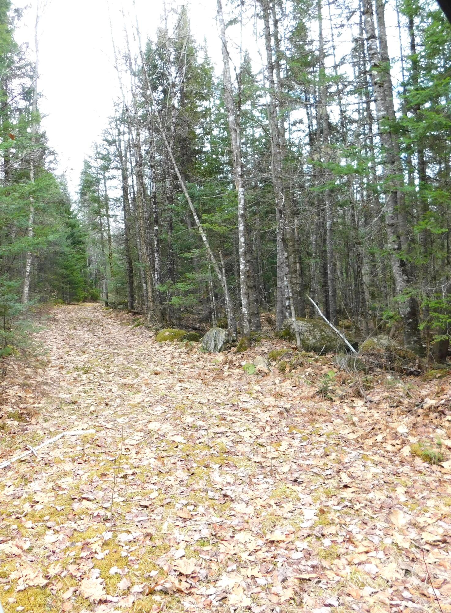 main property photo 35