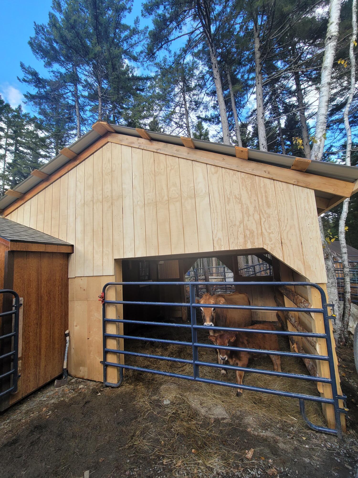main property photo 58