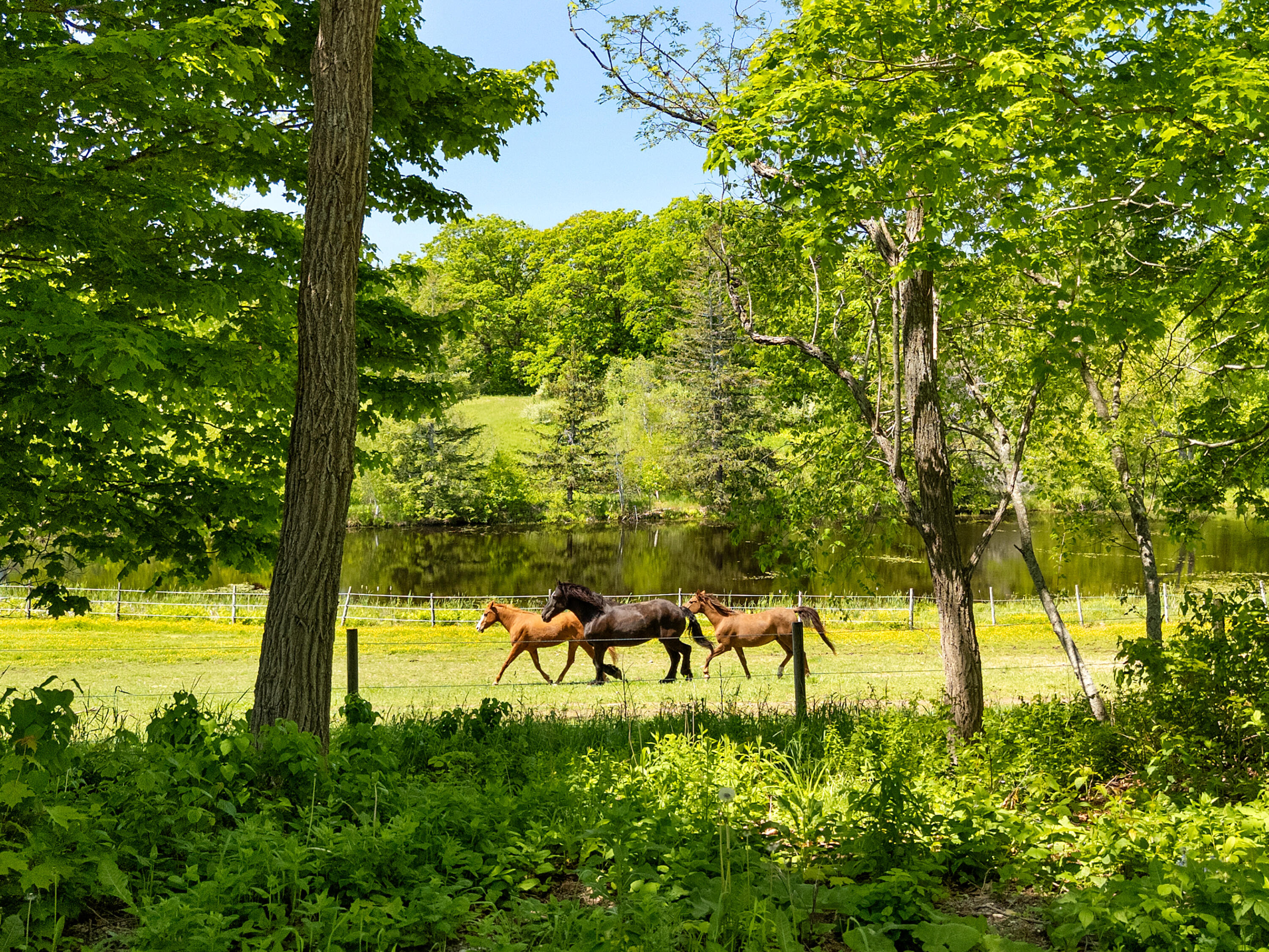 main property photo 57