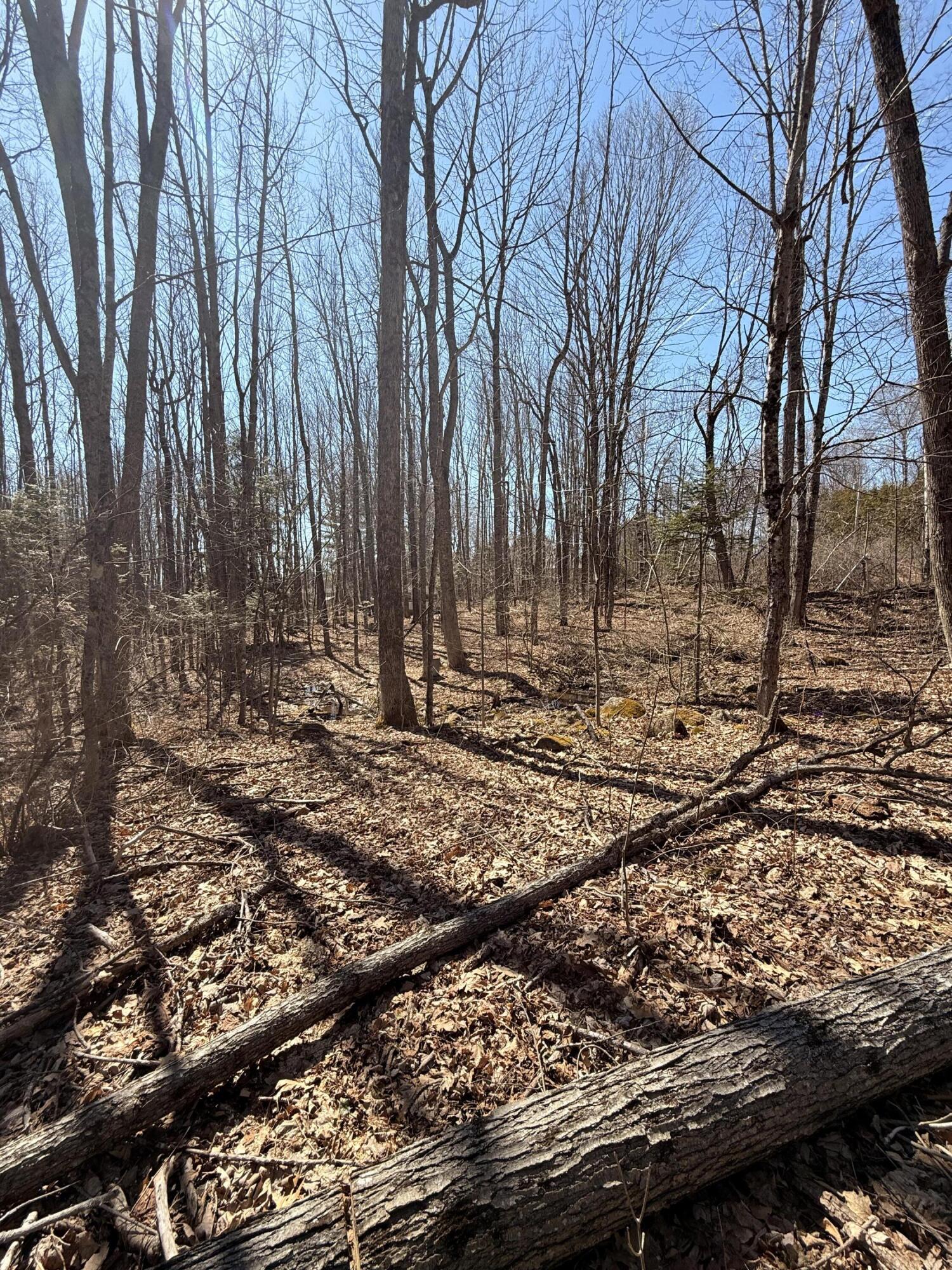 main property photo 24