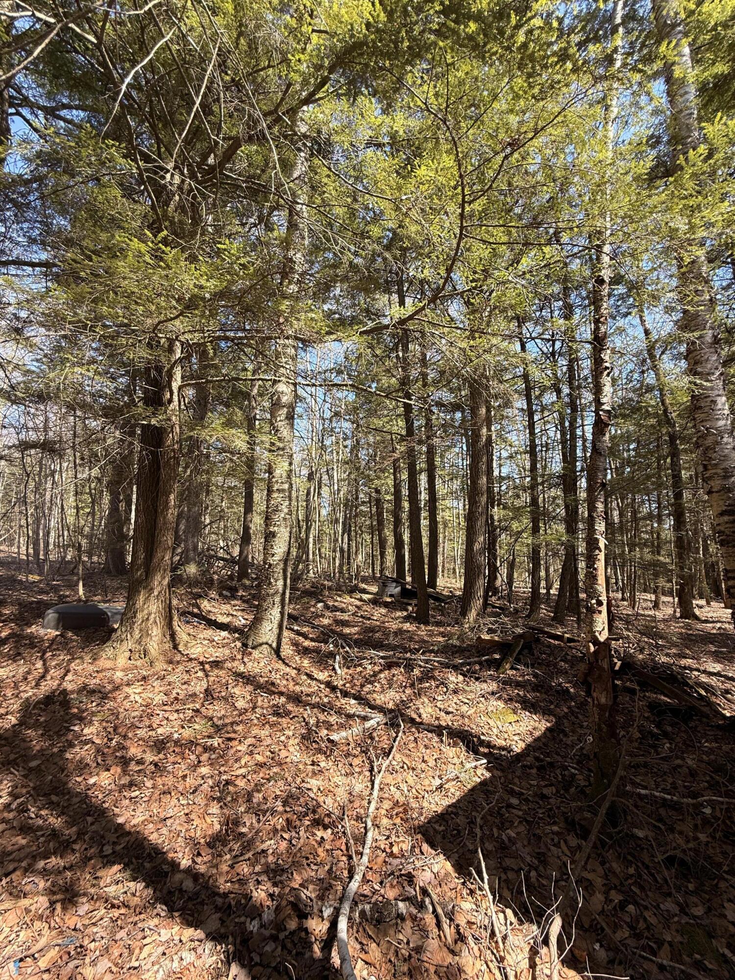 main property photo 26