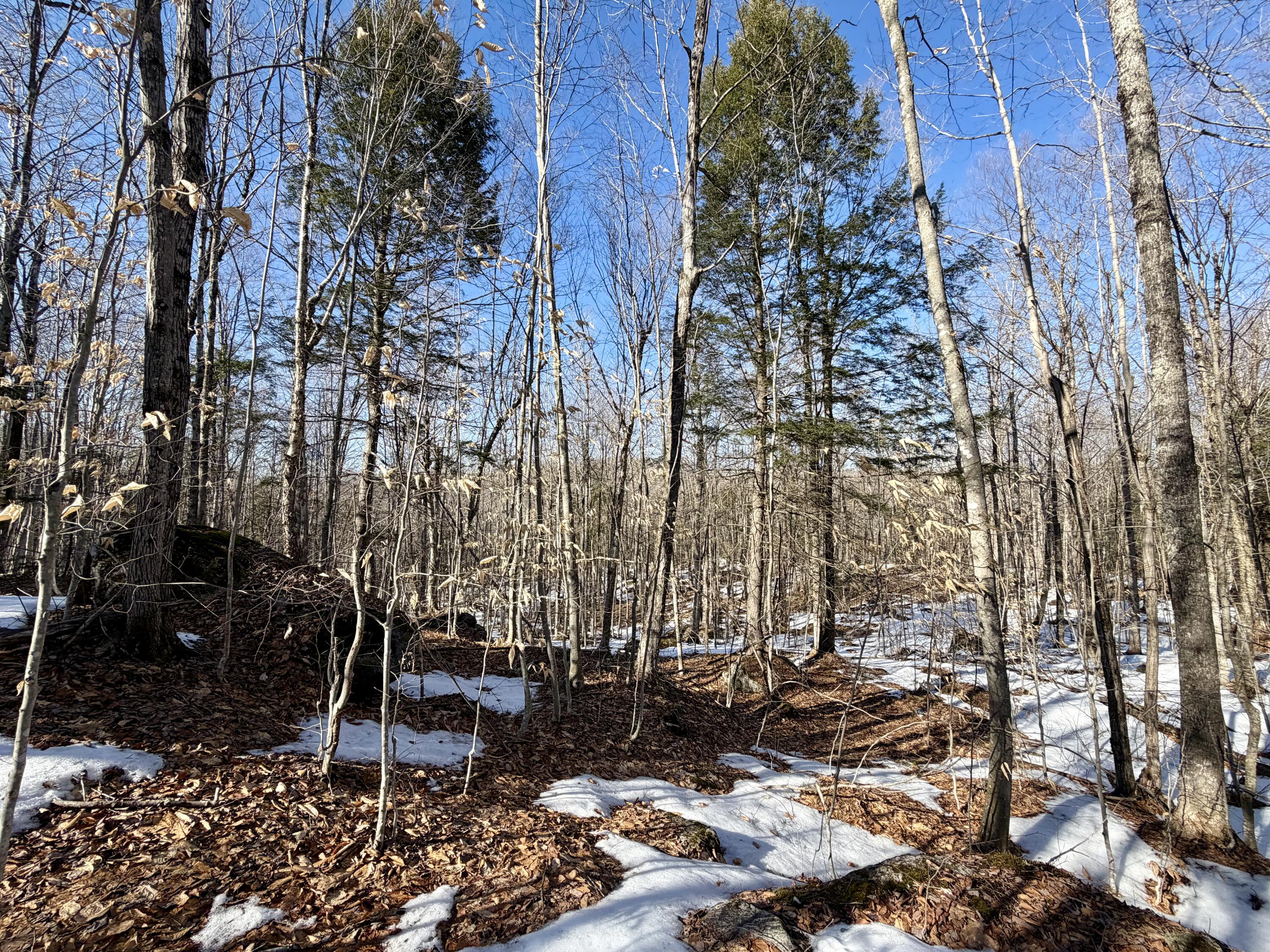 main property photo 15