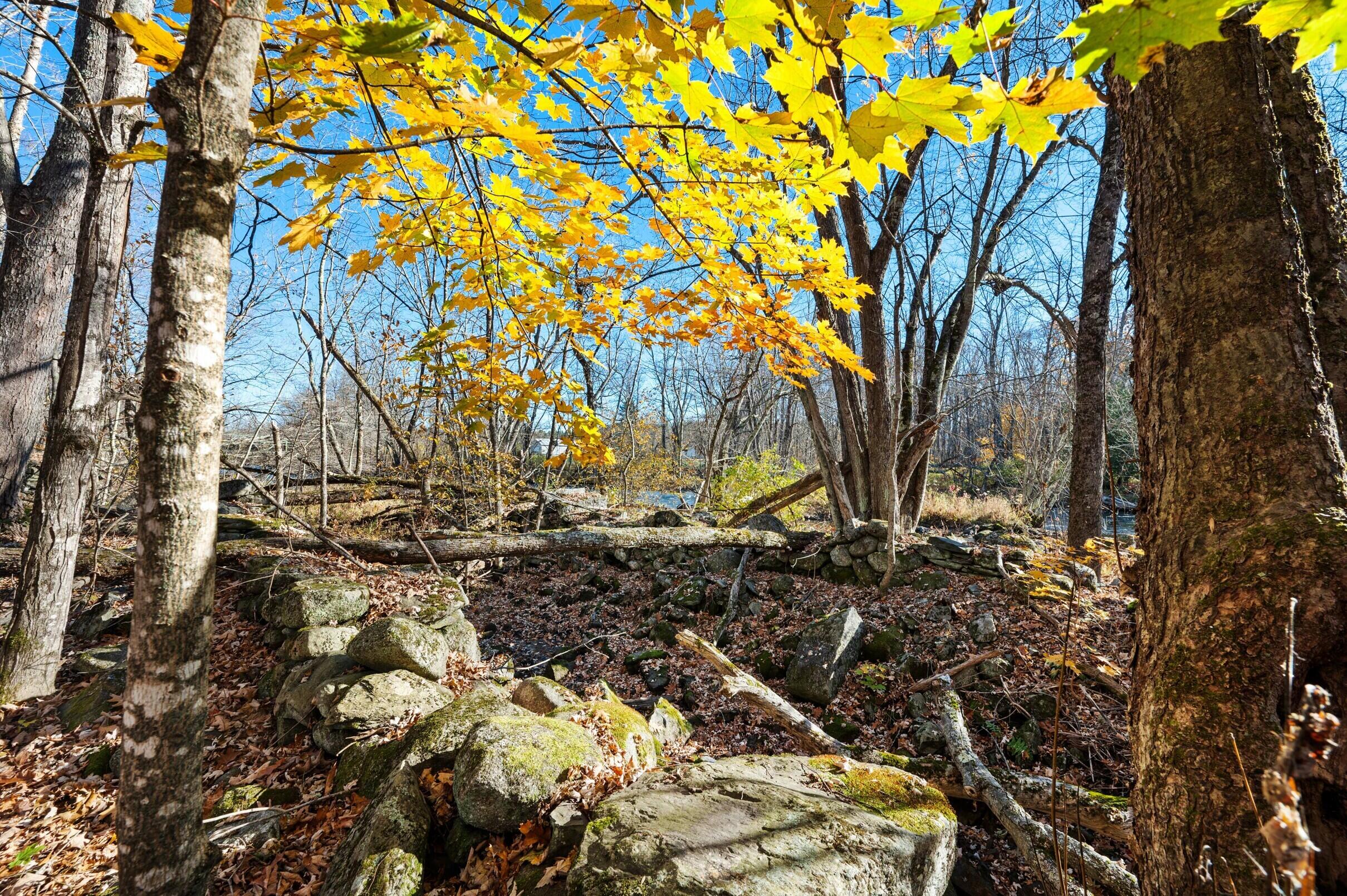 main property photo 48