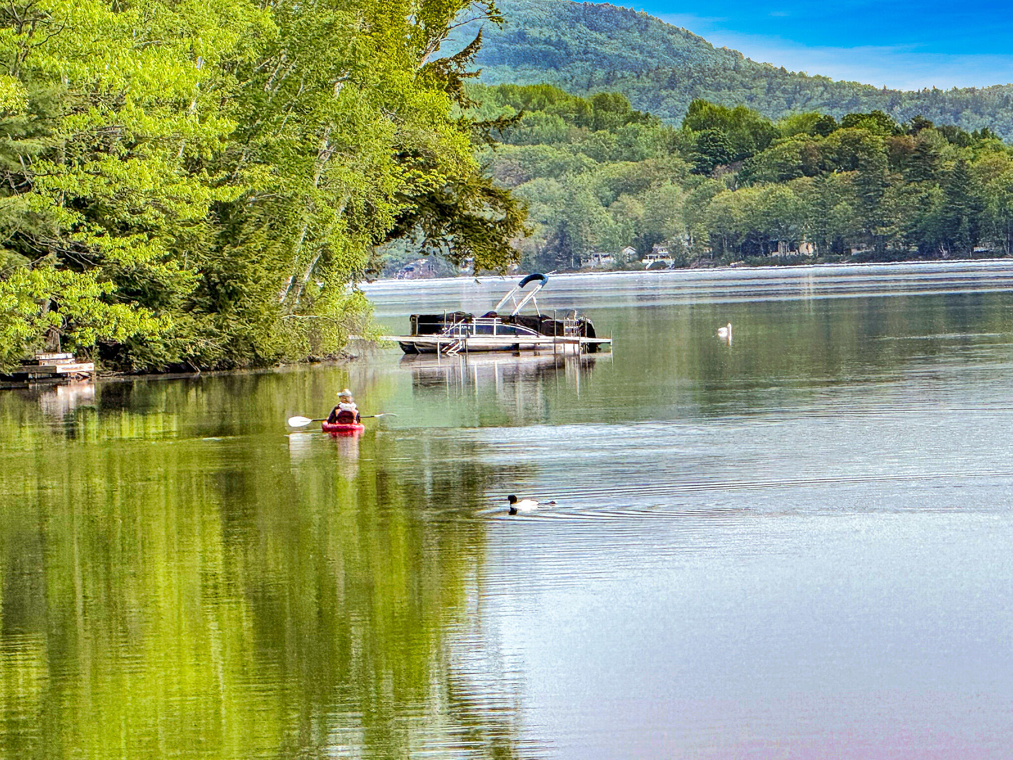 main property photo 46