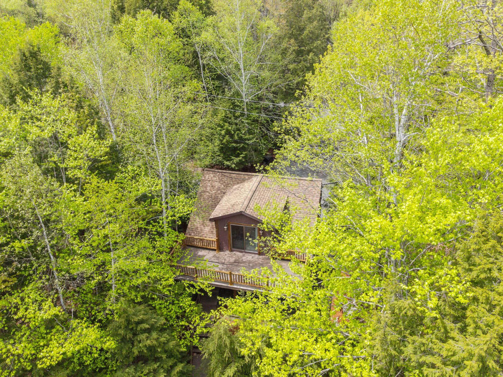 main property photo 64