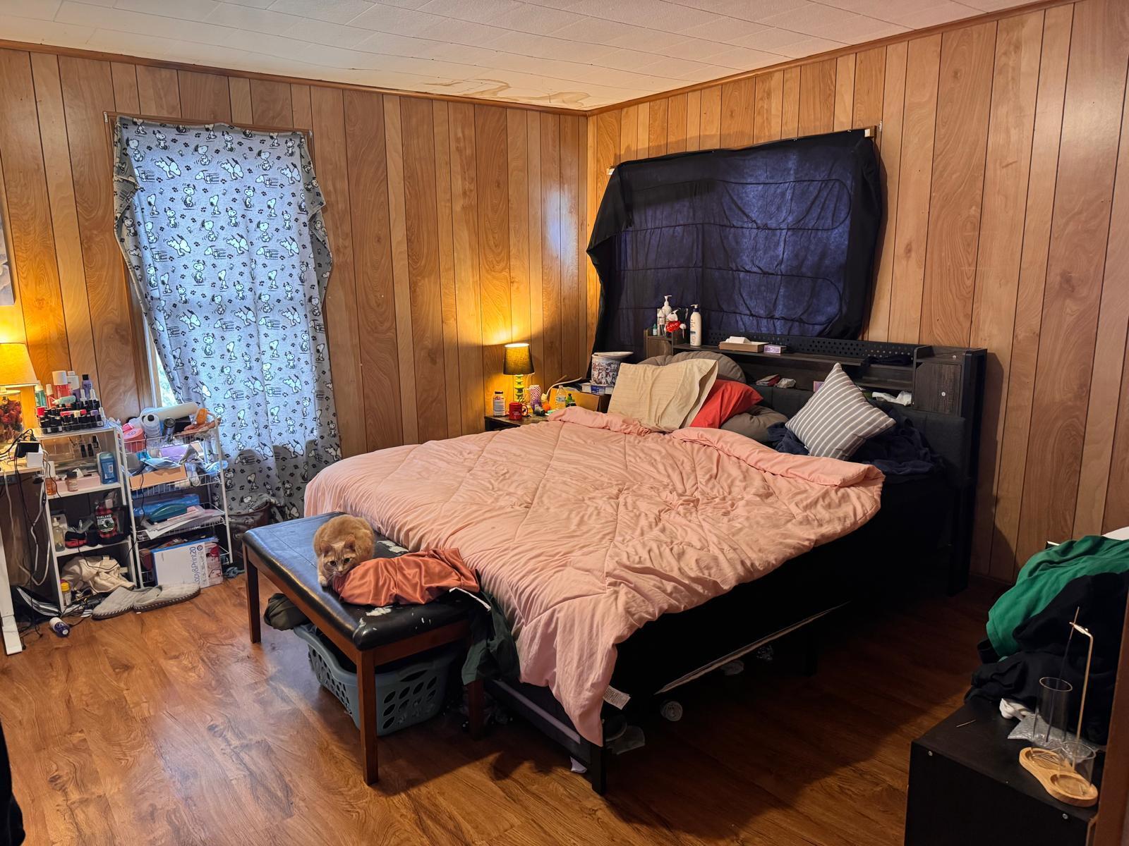 main property photo 35