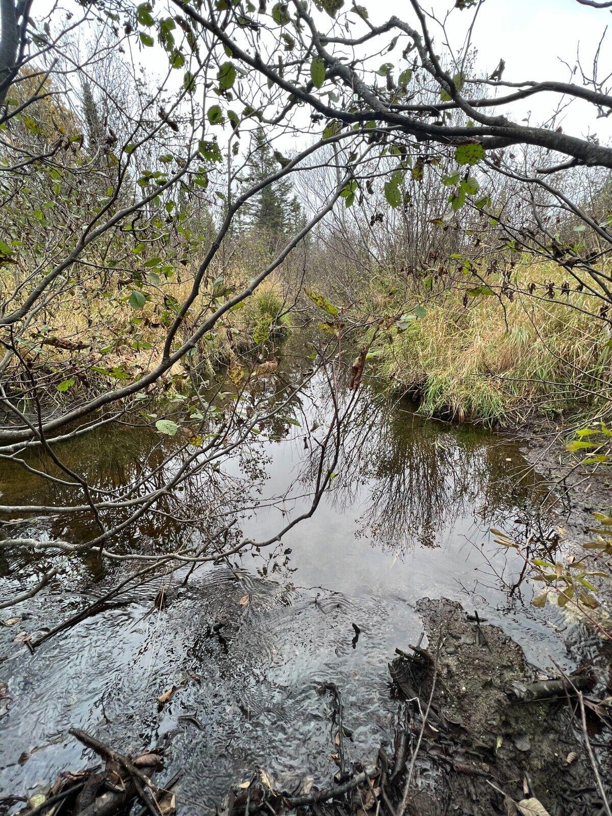 main property photo 10