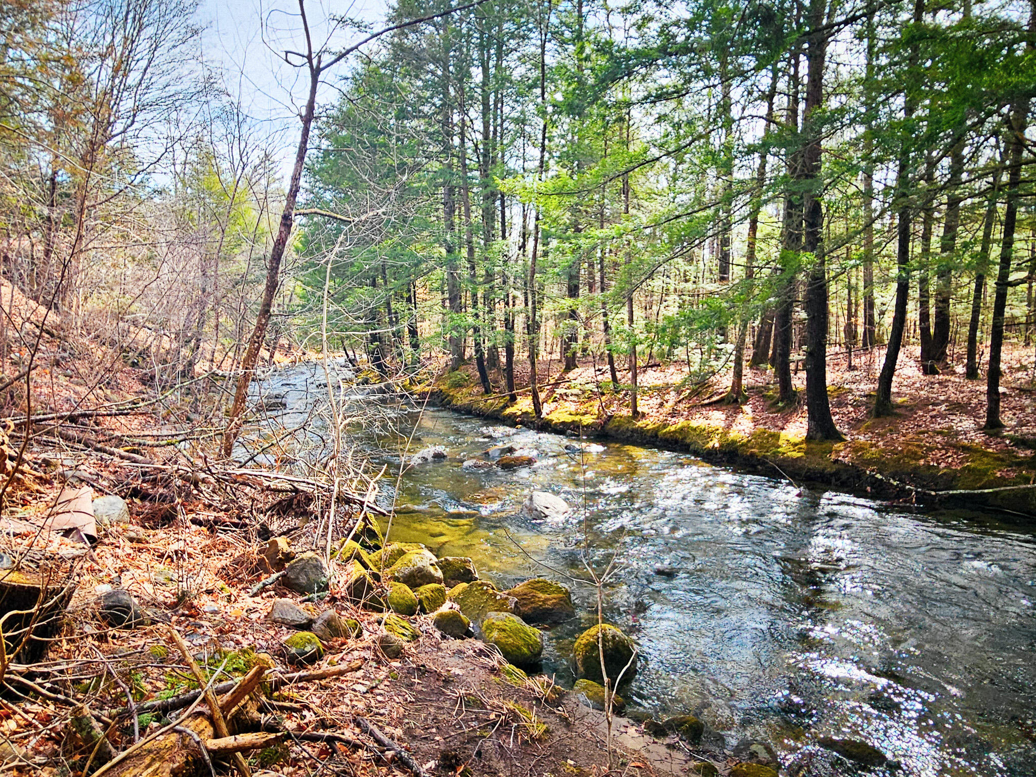 main property photo 12