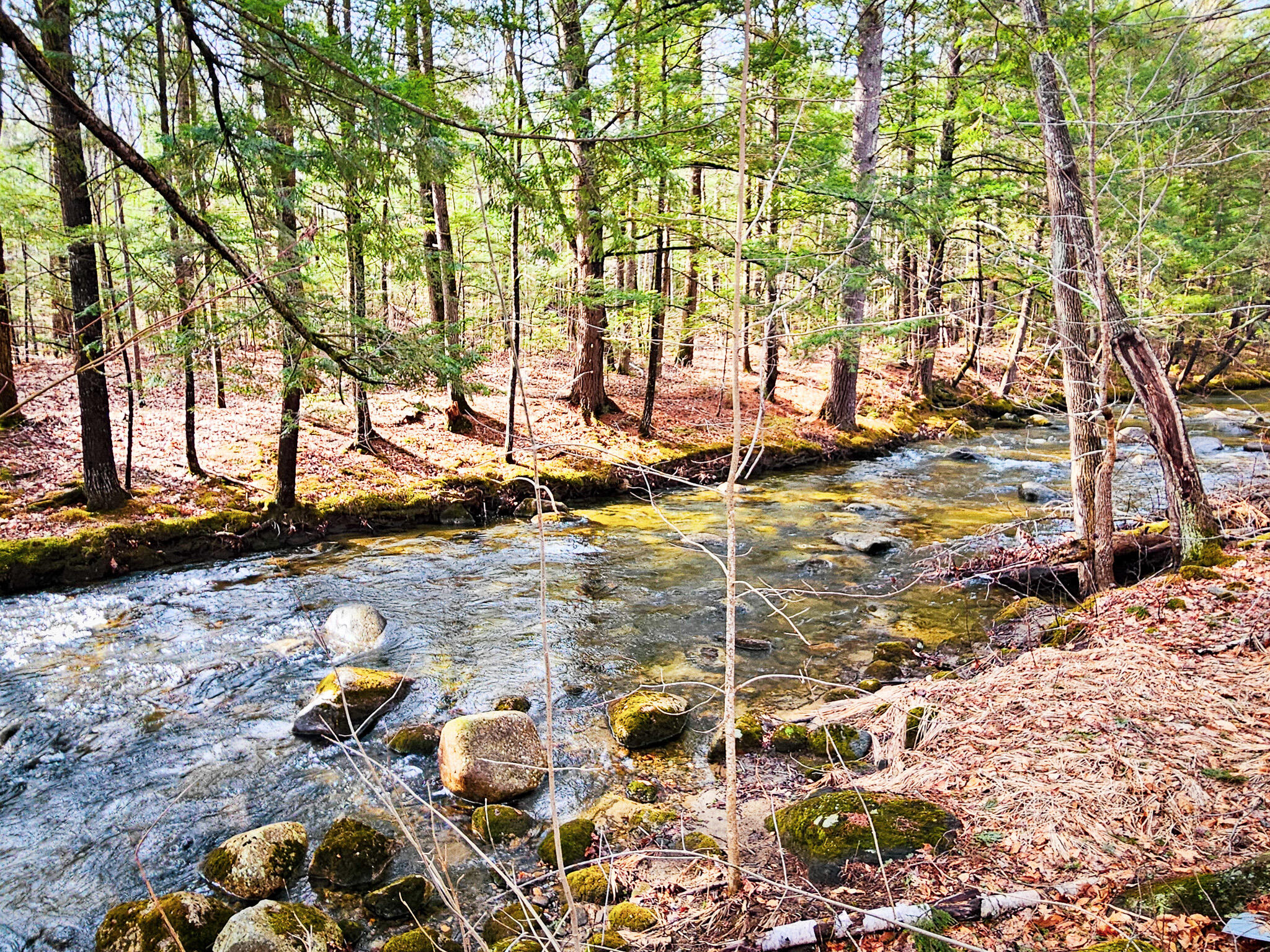 main property photo 13