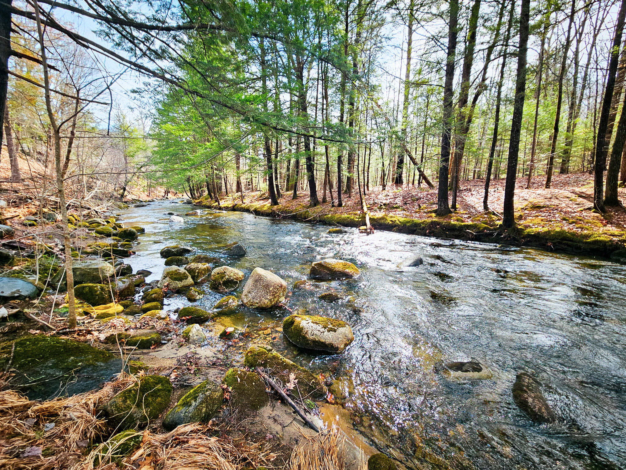 main property photo 14