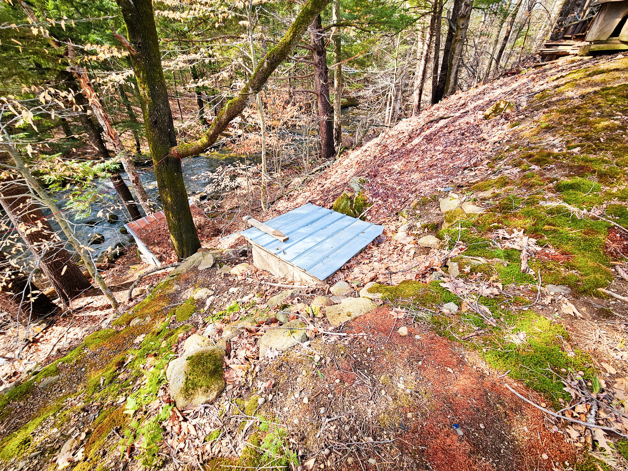 main property photo 17