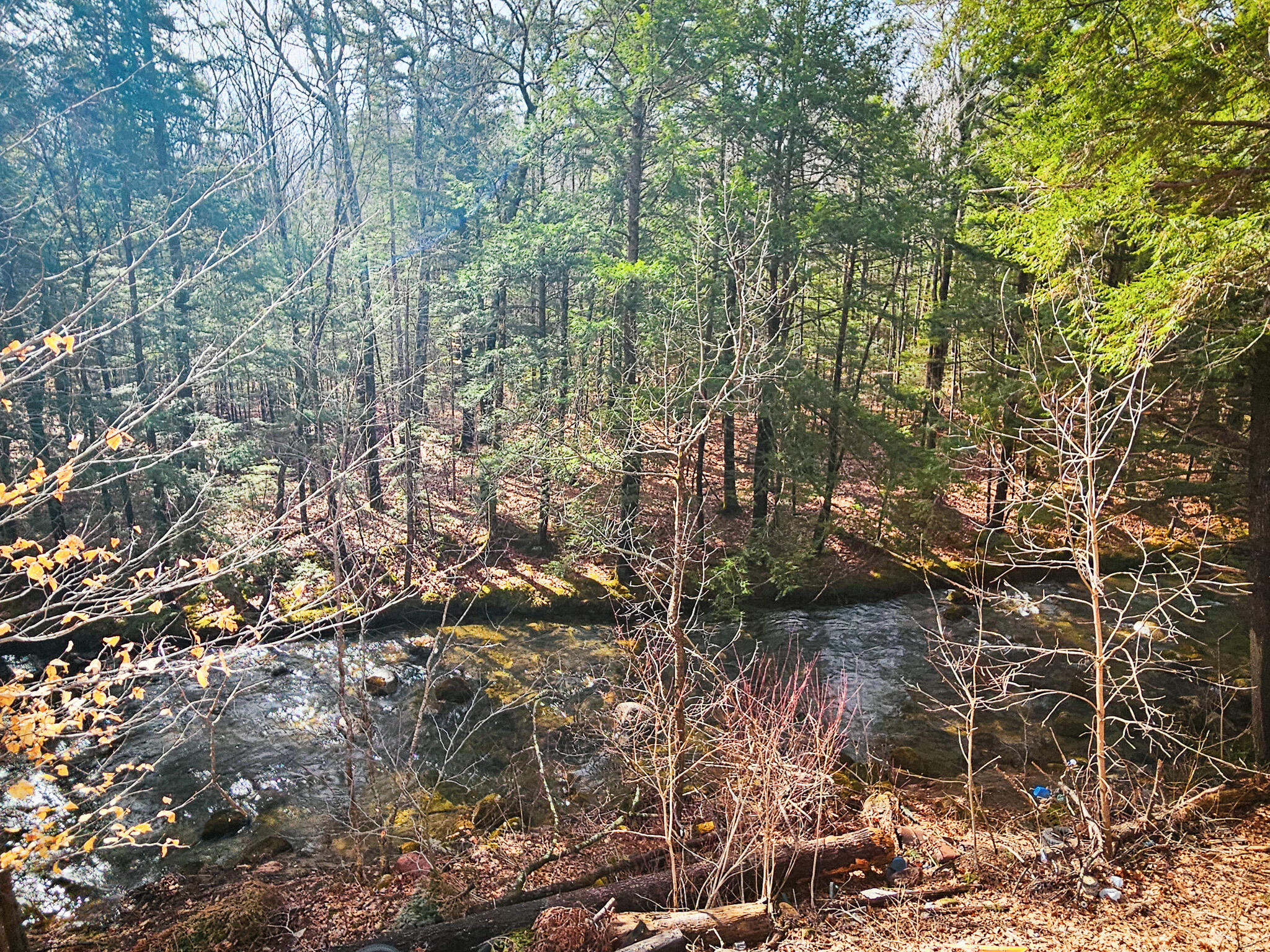 main property photo 20