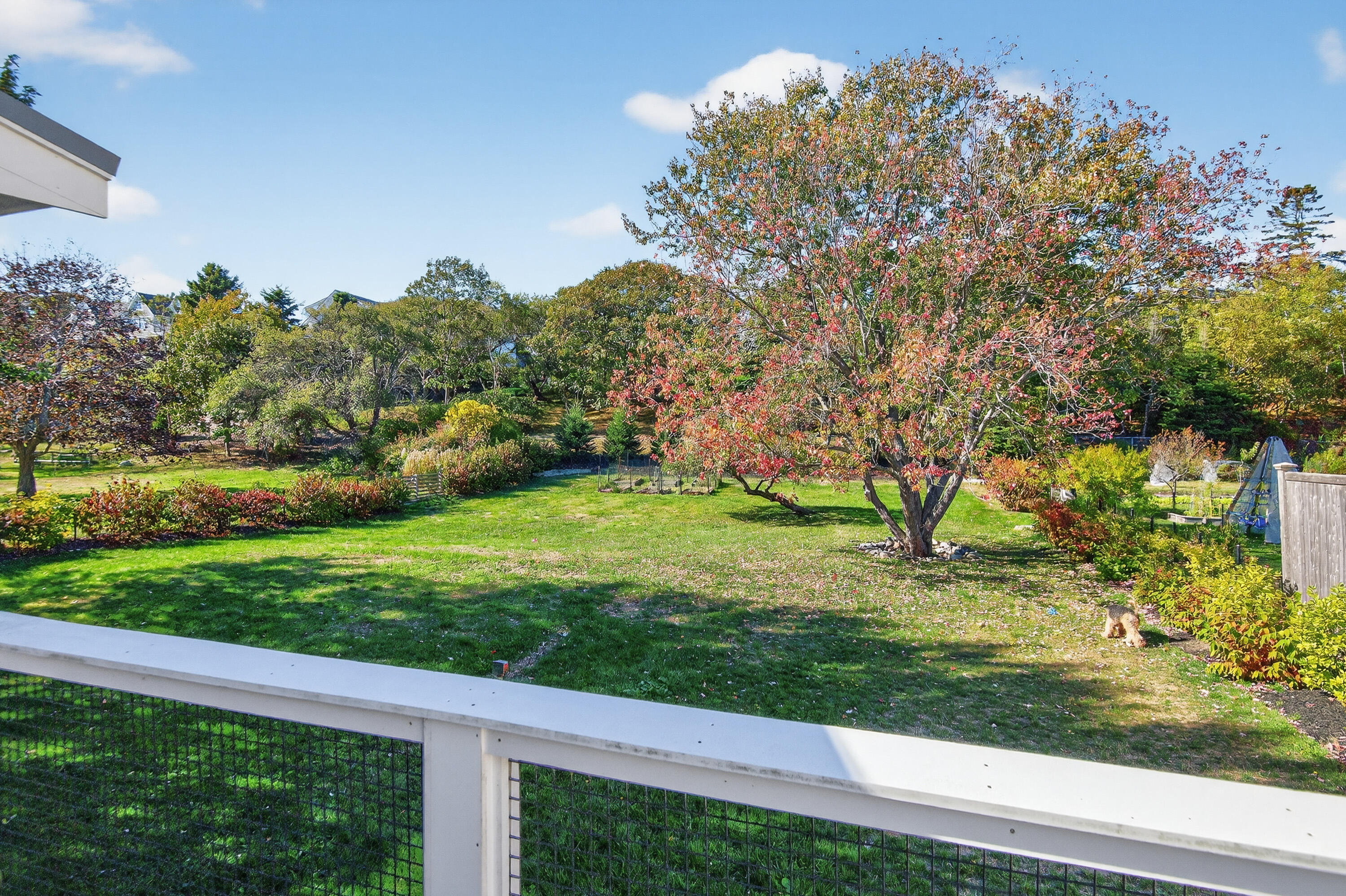 main property photo 16