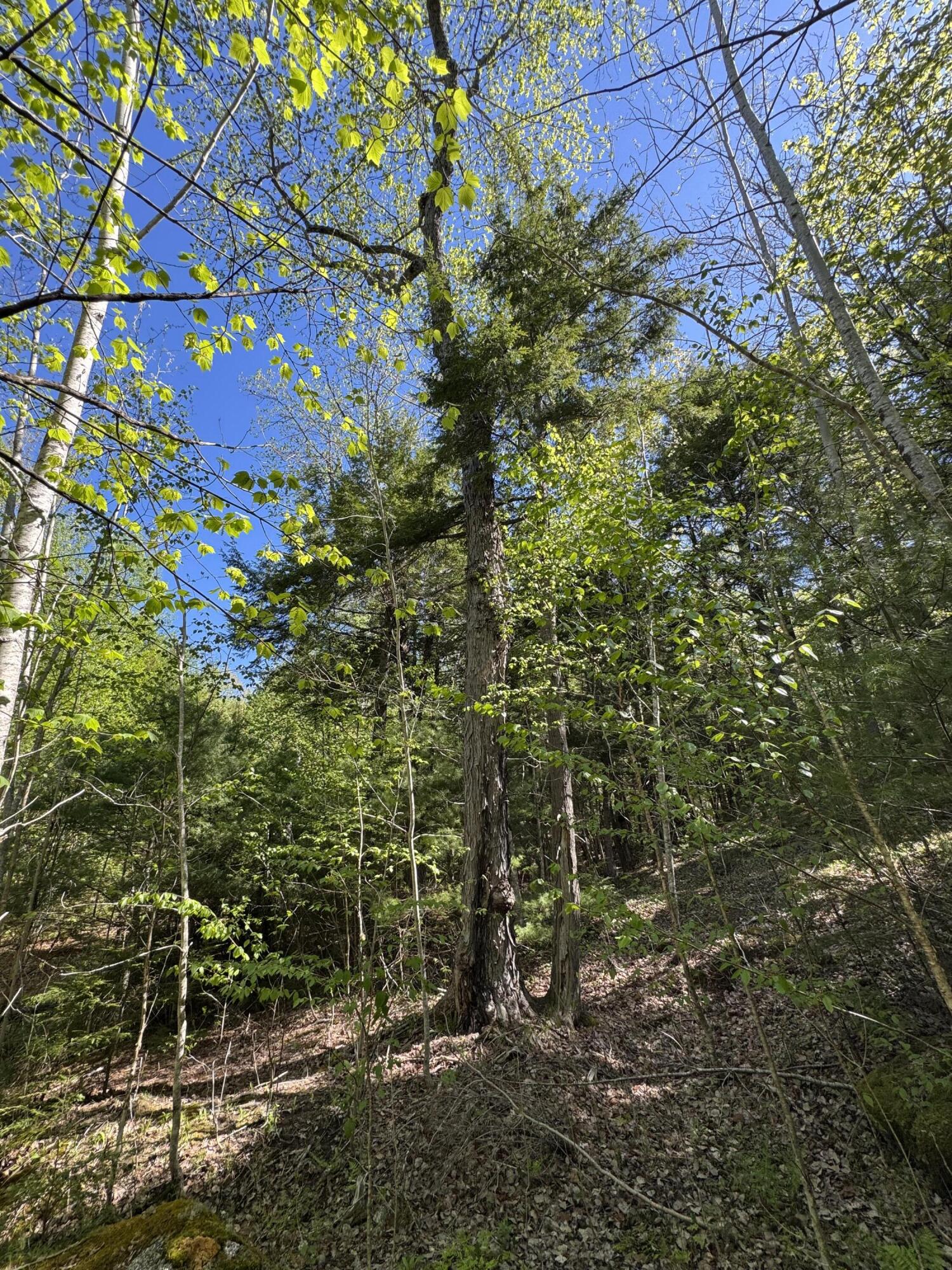 main property photo 11