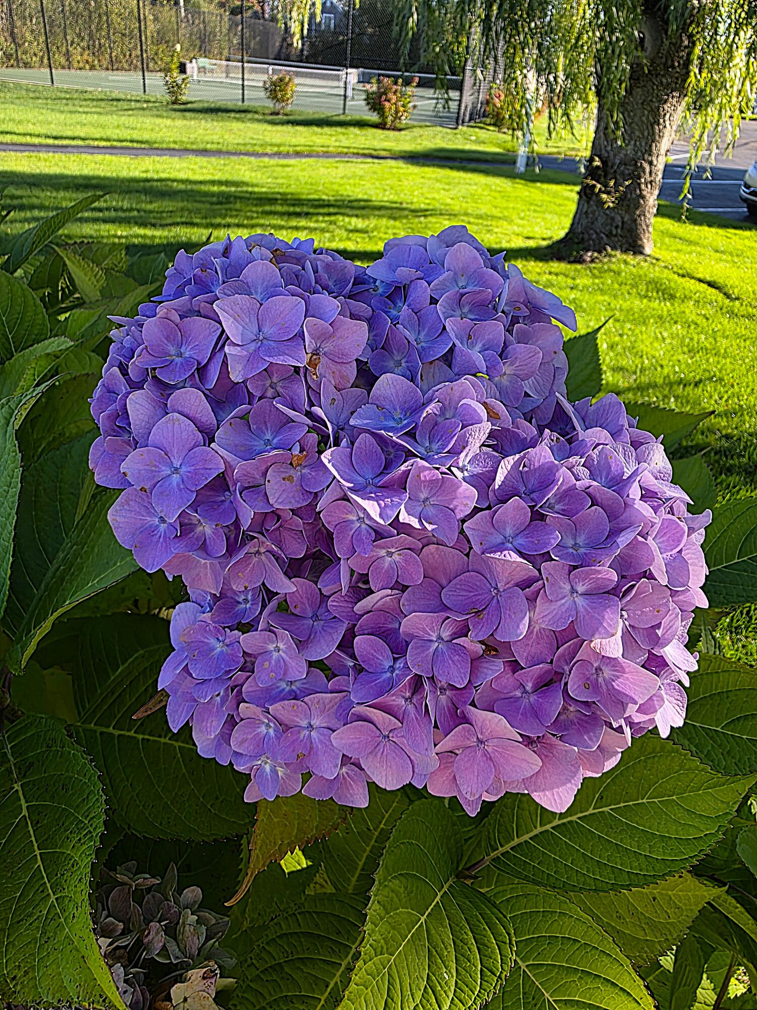 main property photo 32