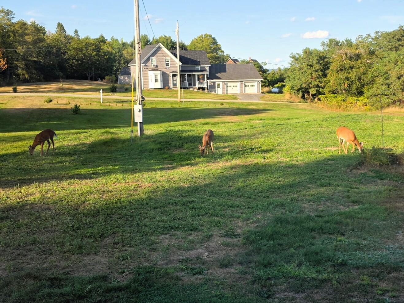 main property photo 27