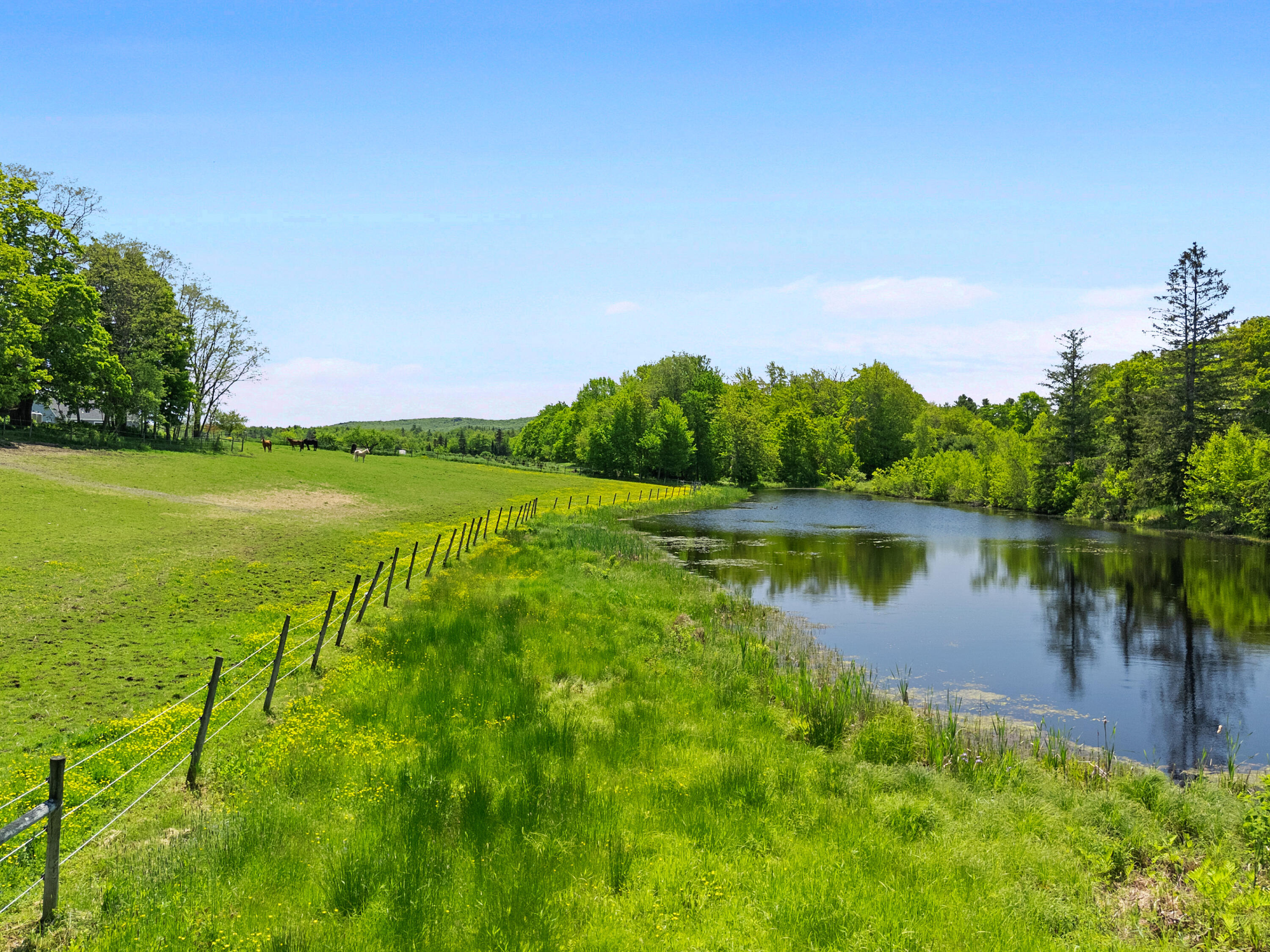 main property photo 54