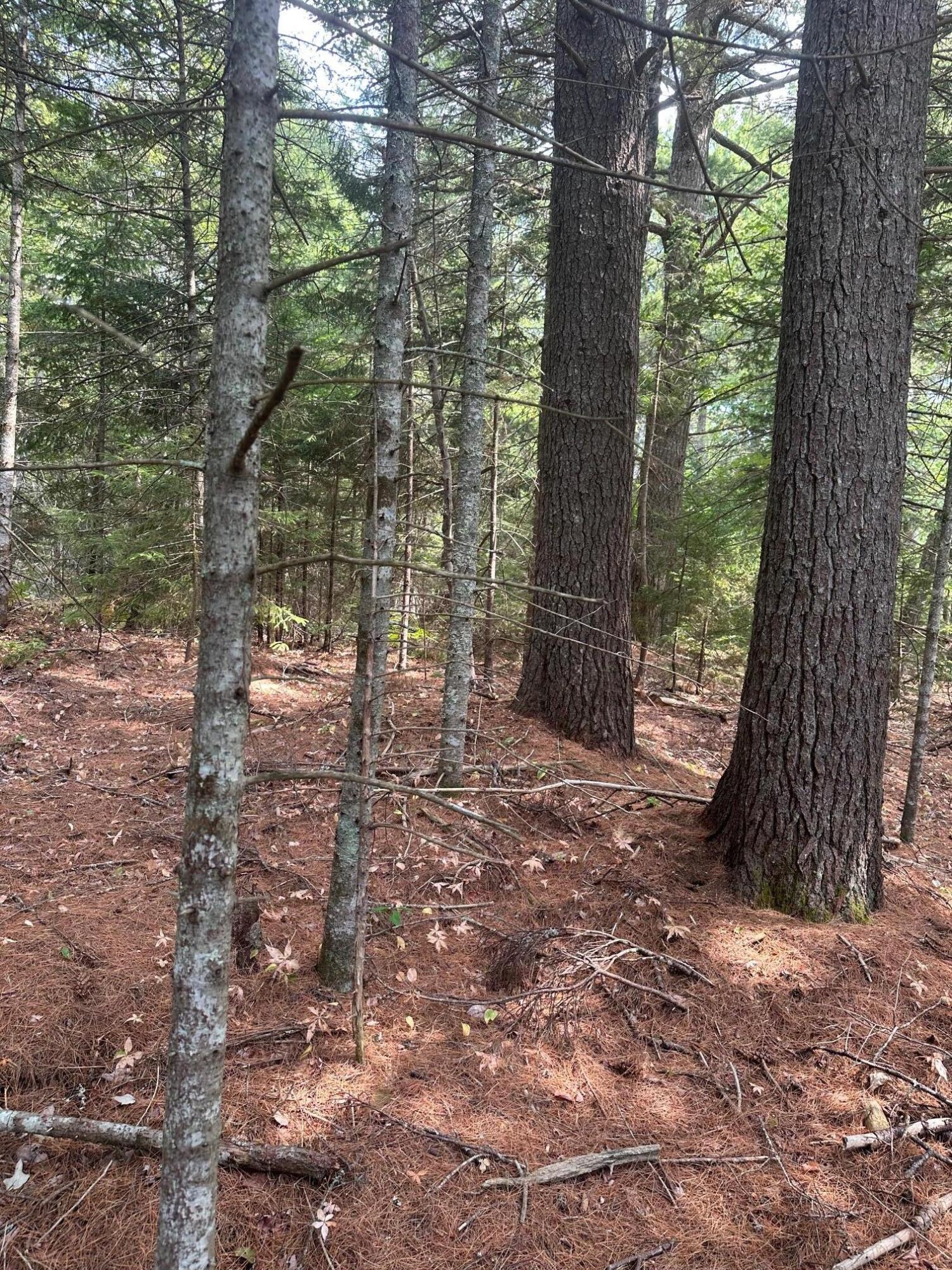 main property photo 11