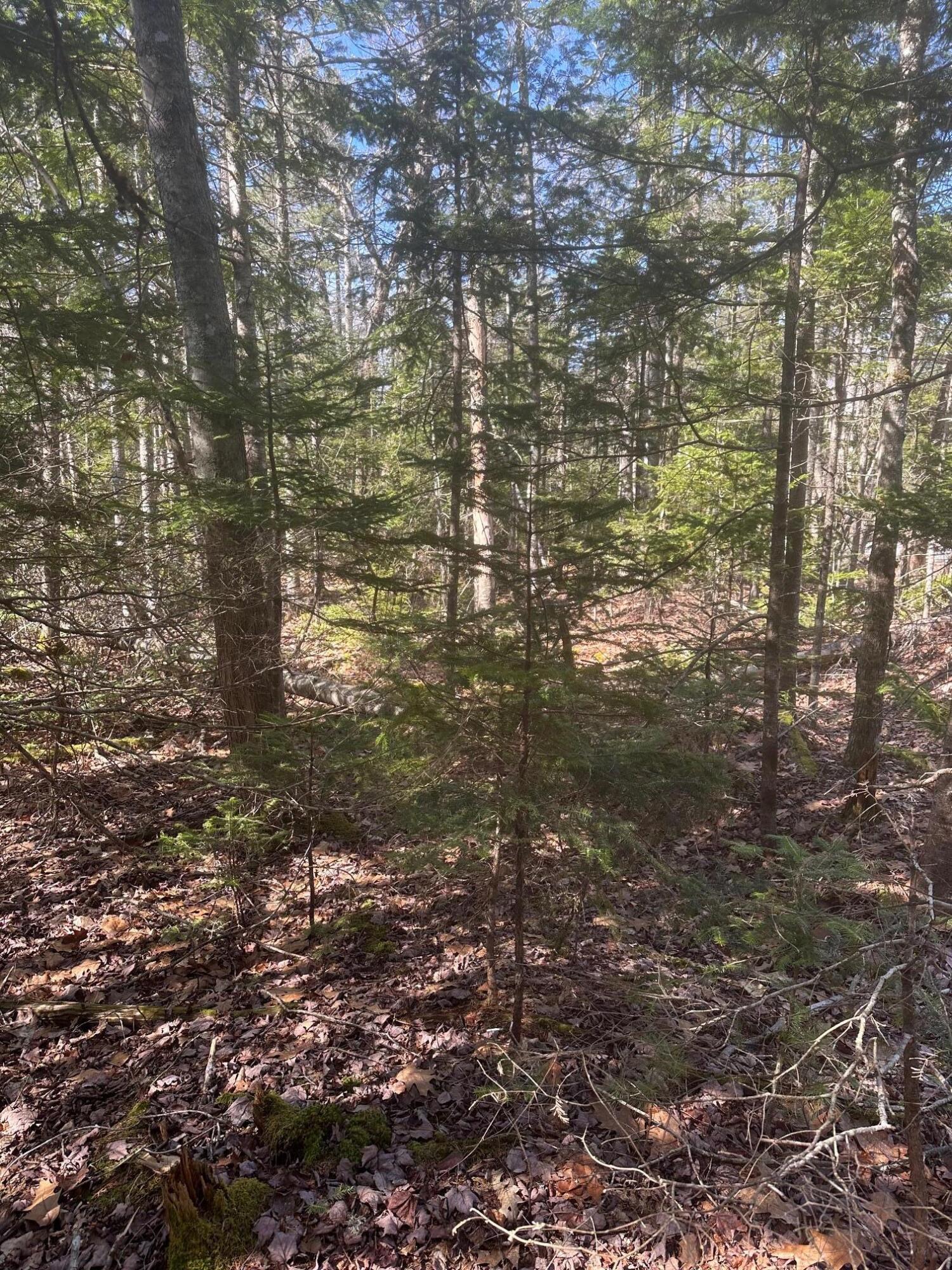 main property photo 8