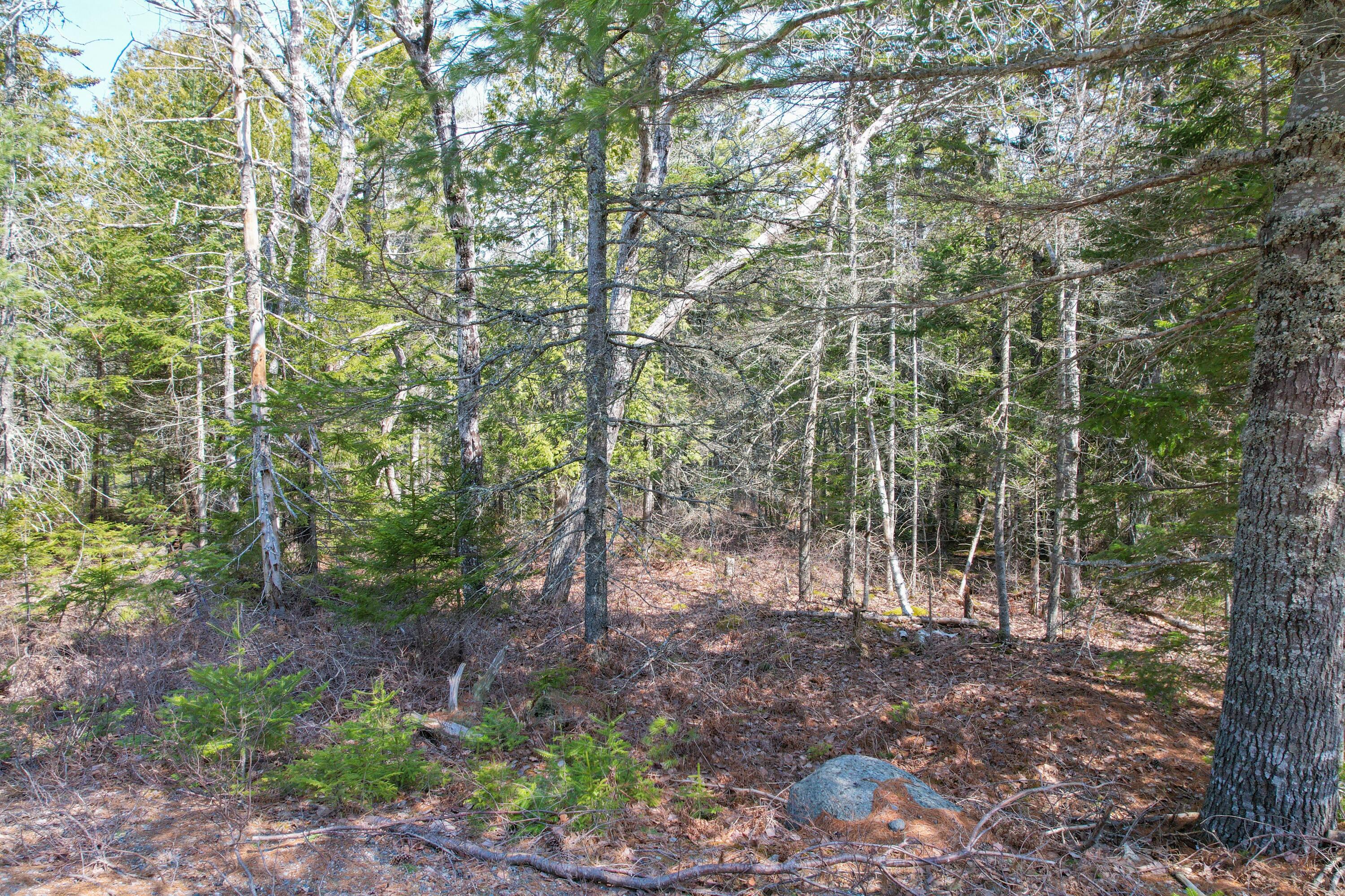 main property photo 11