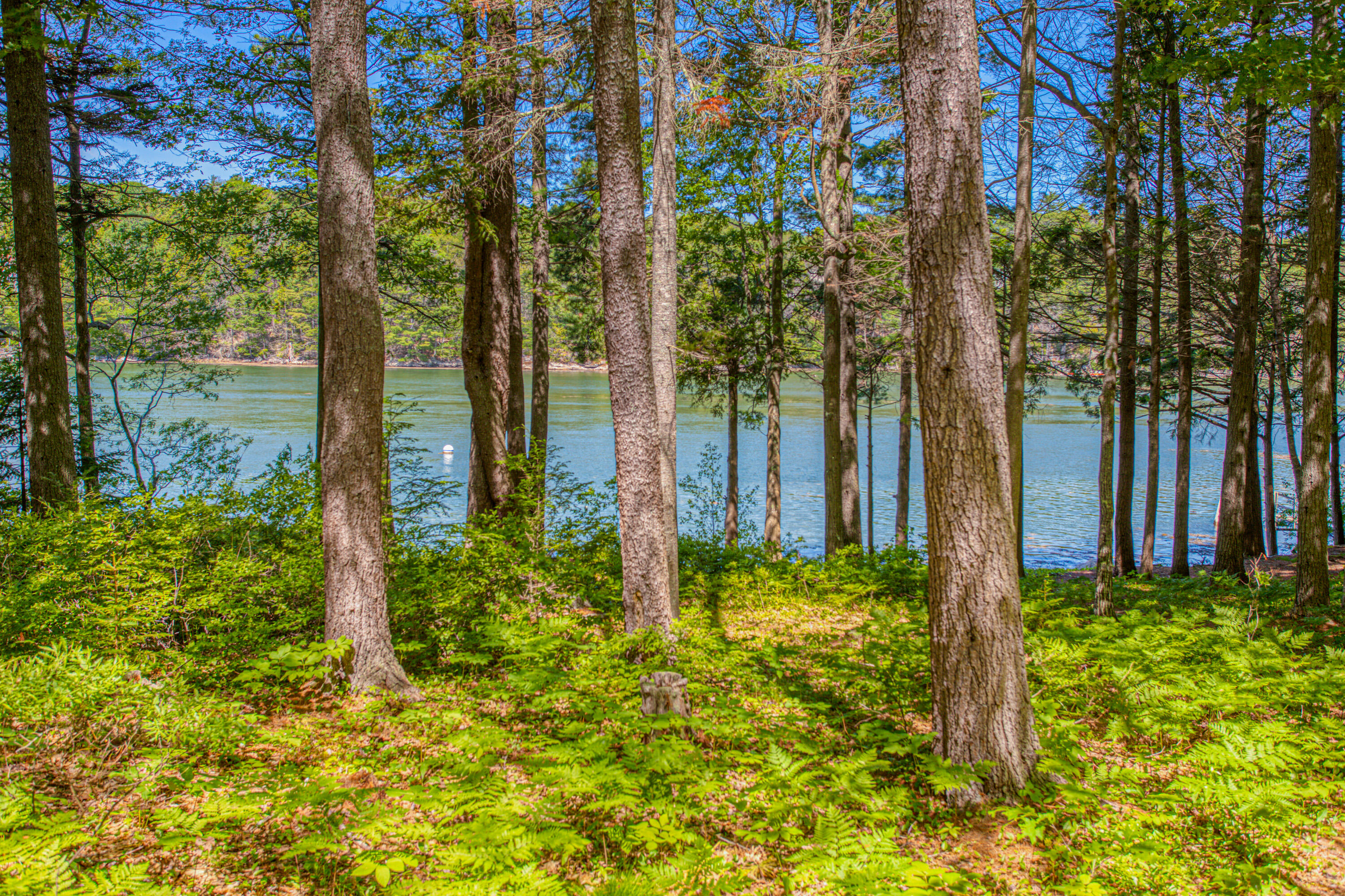 main property photo 55