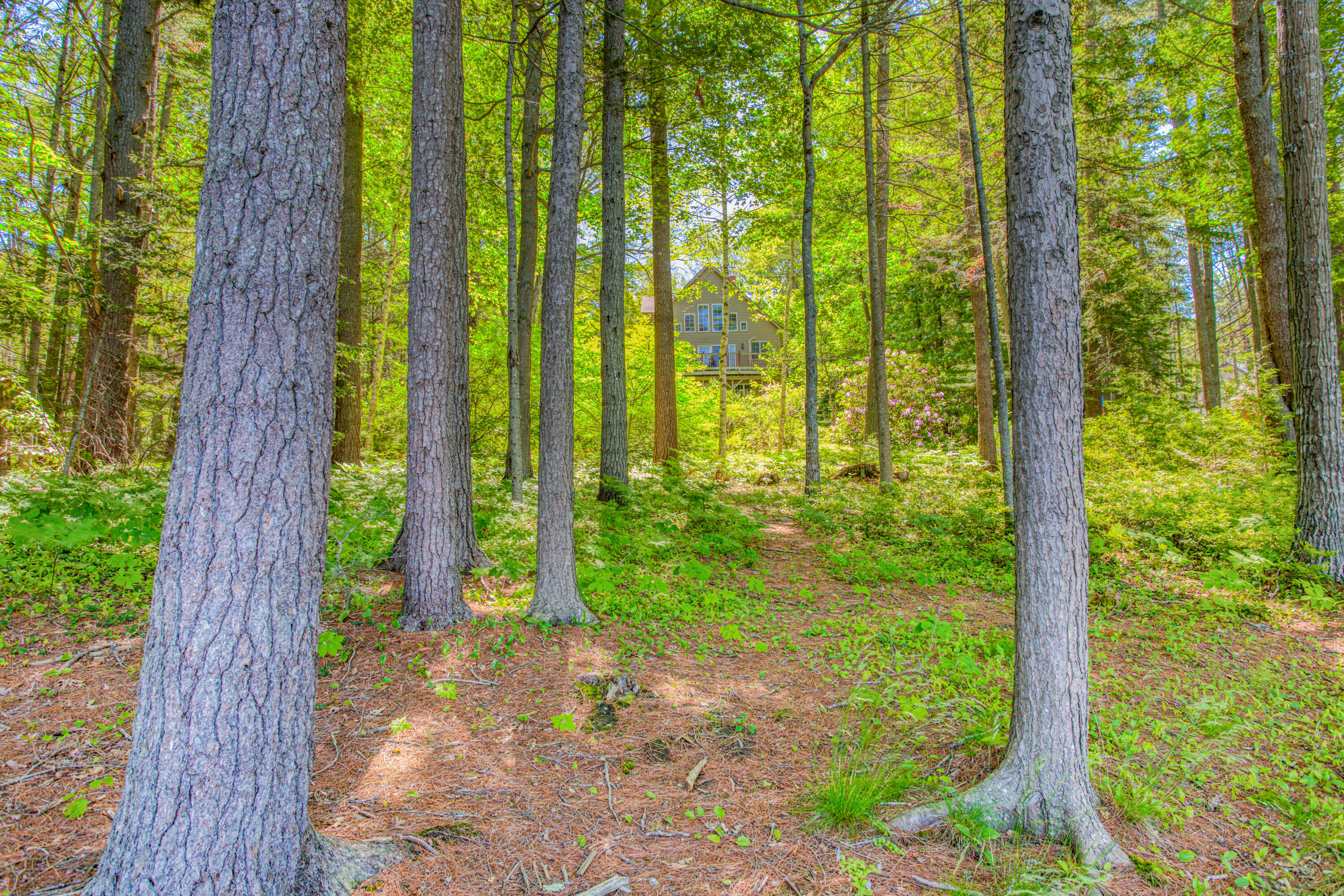 main property photo 63