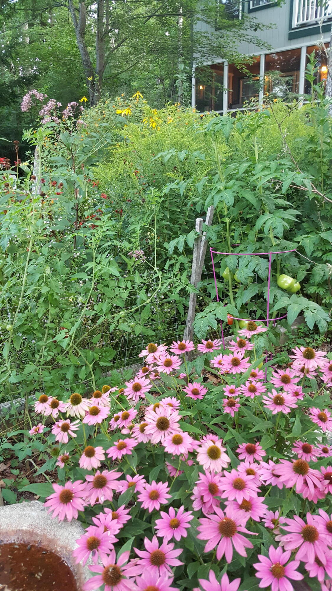 main property photo 76