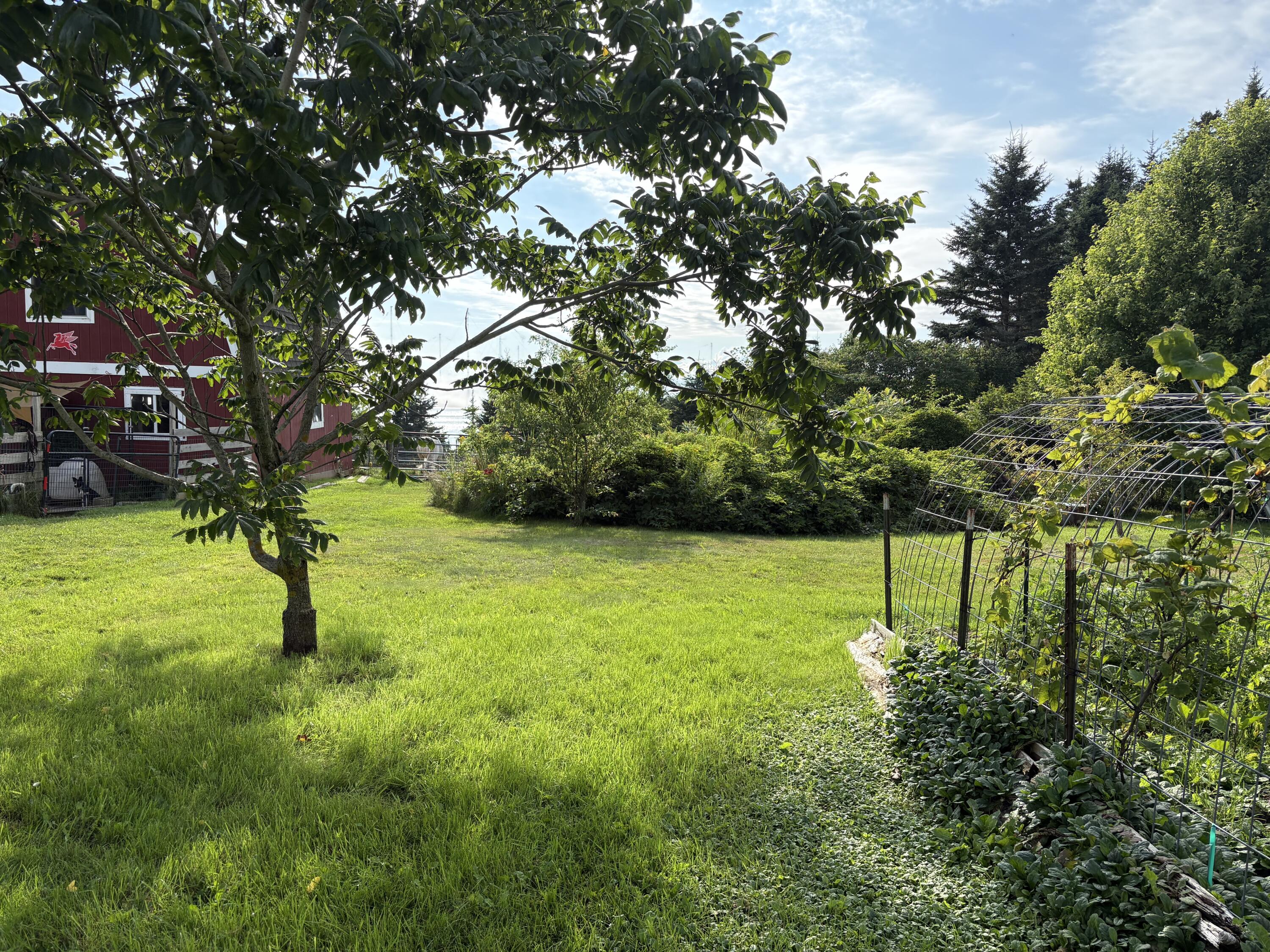 main property photo 93