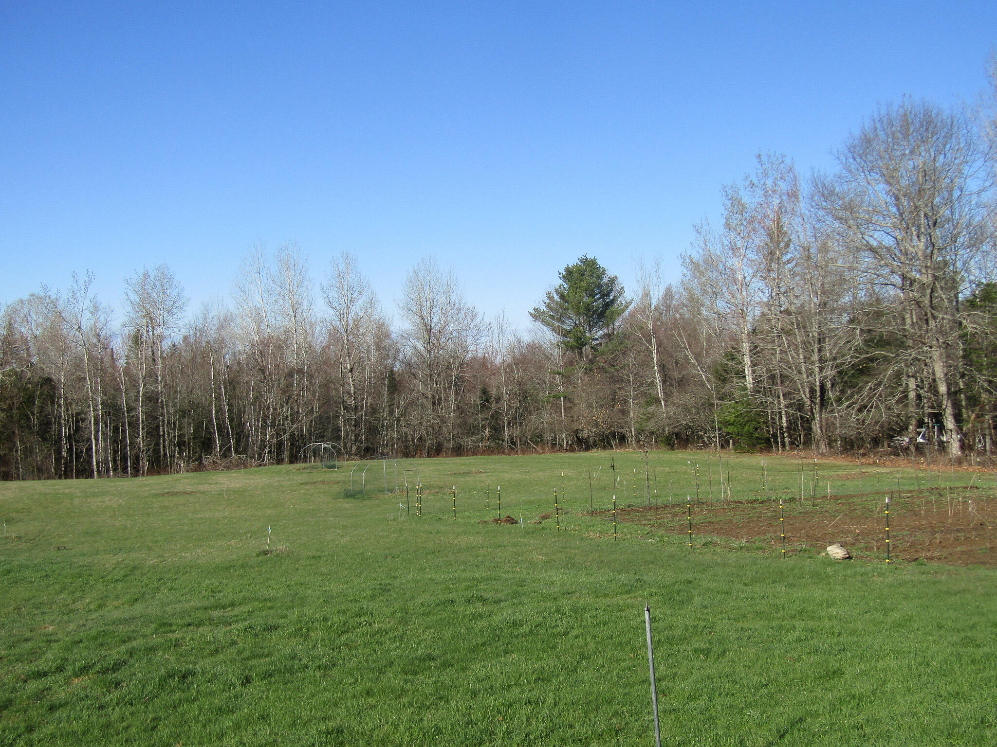 main property photo 3