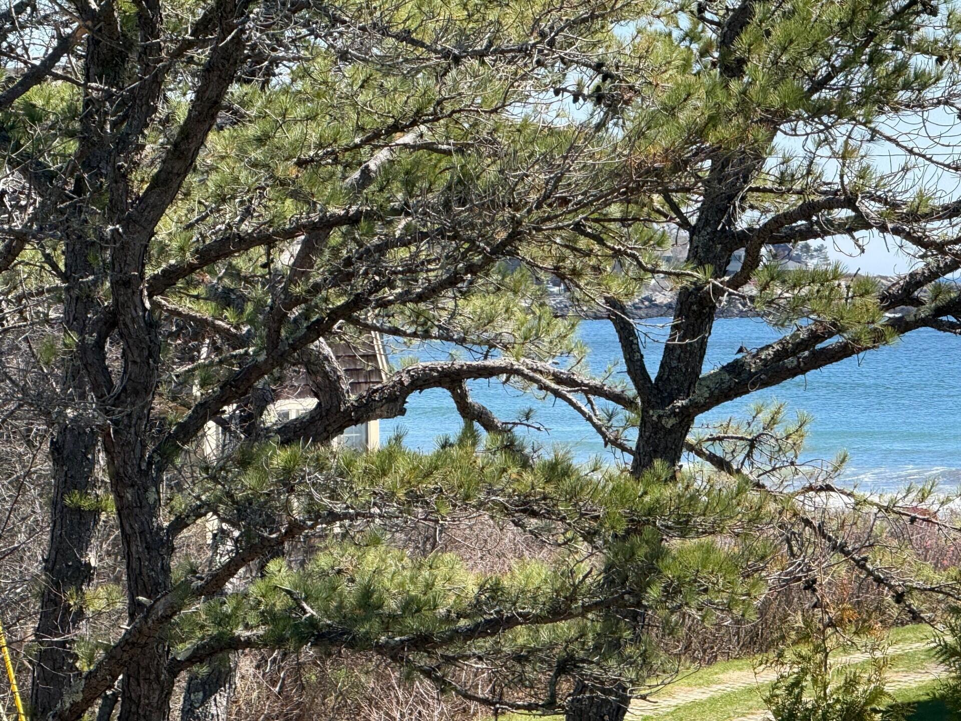 main property photo 59