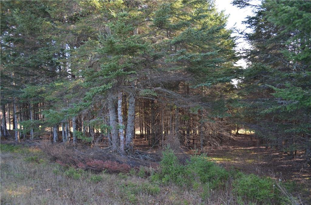 main property photo 11