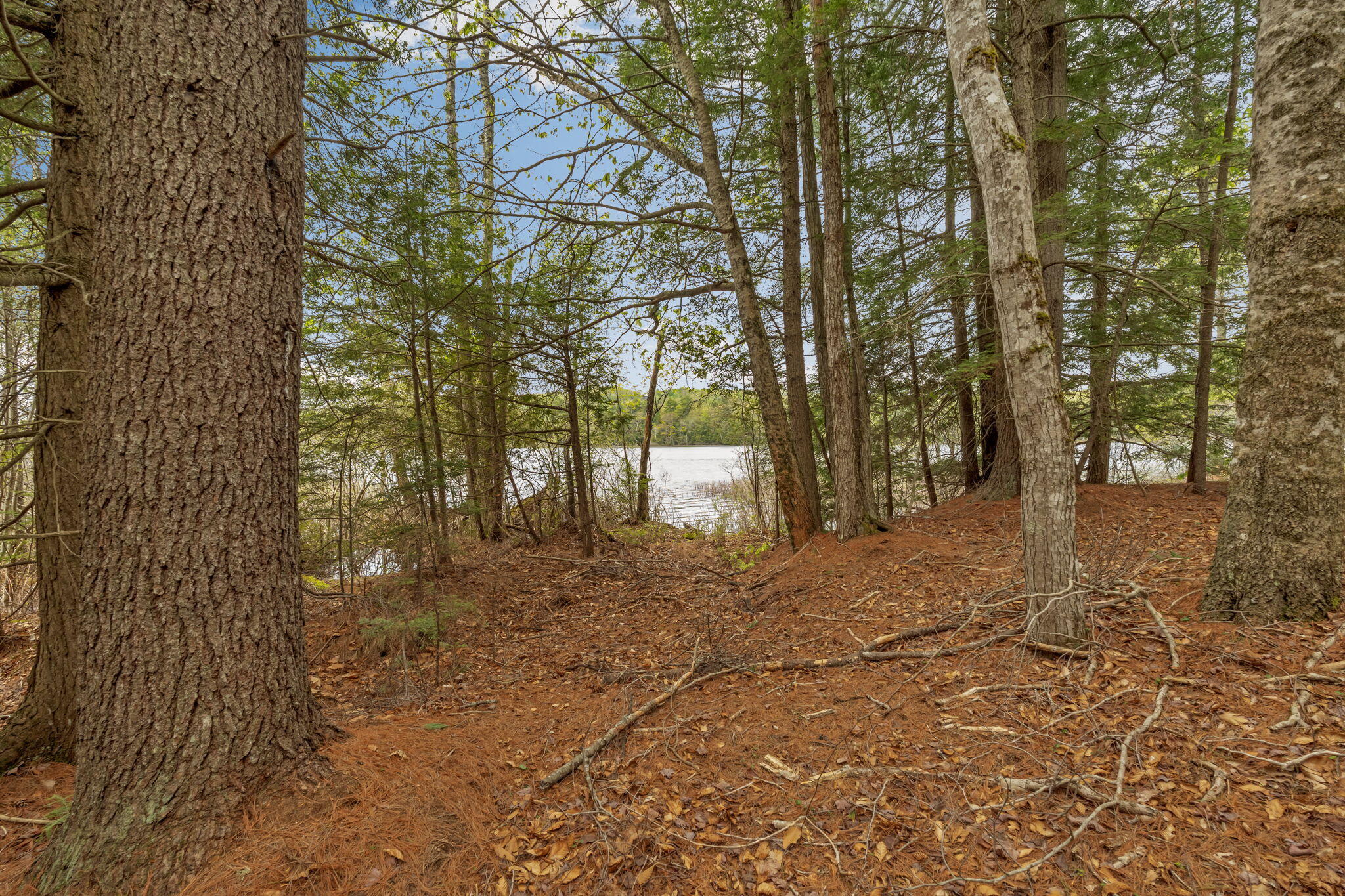 main property photo 9