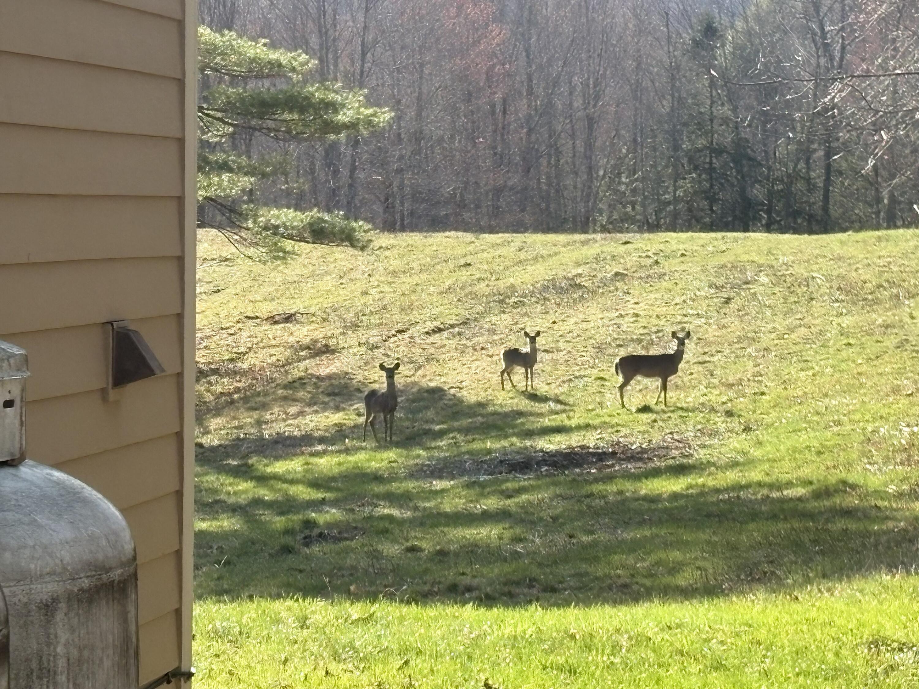 property viewer photo 18